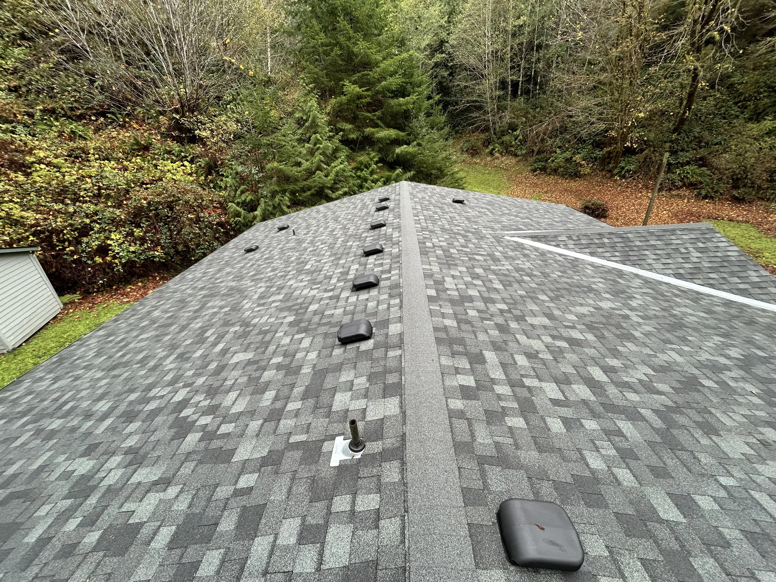 Roof Maintenance.jpg