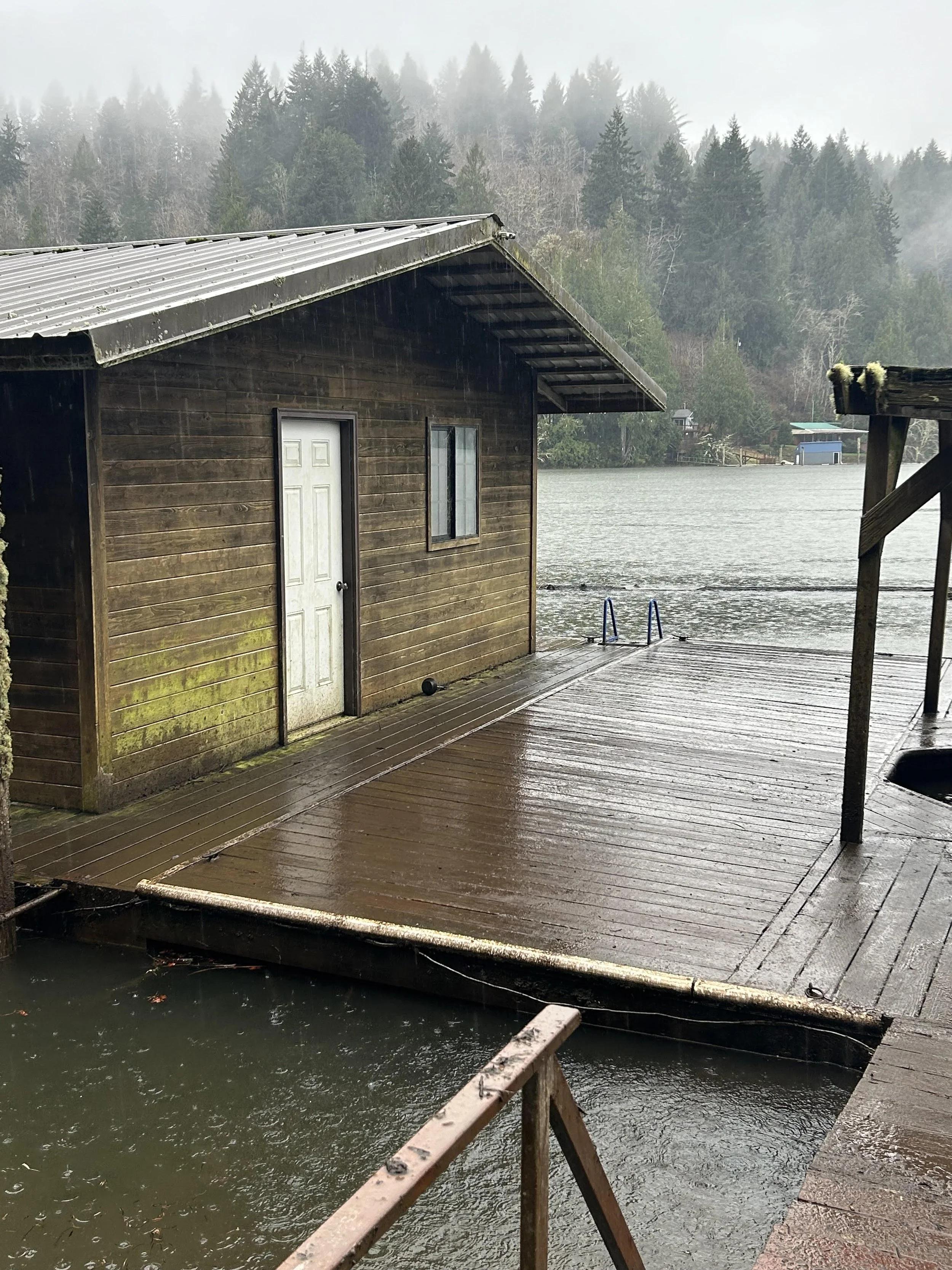 beaver debris cleaned up deck maintenance.jpg