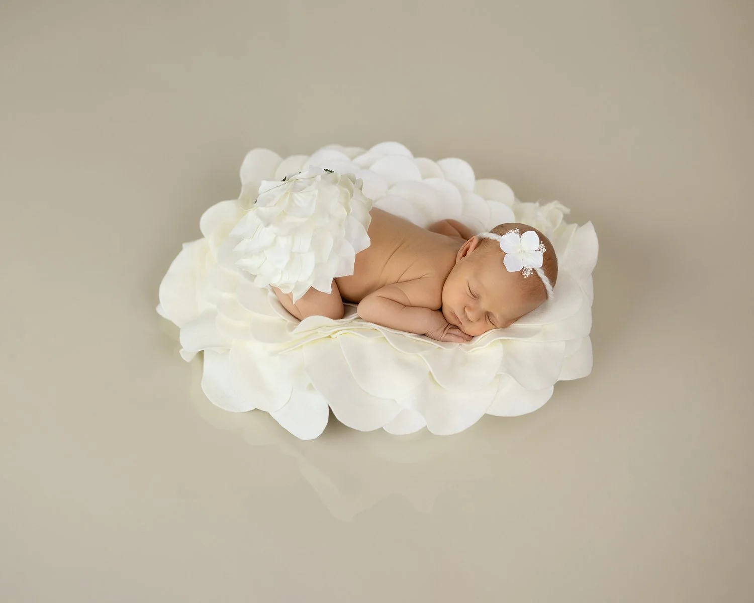 What to Expect at Your Newborn Session with Anya Sifton