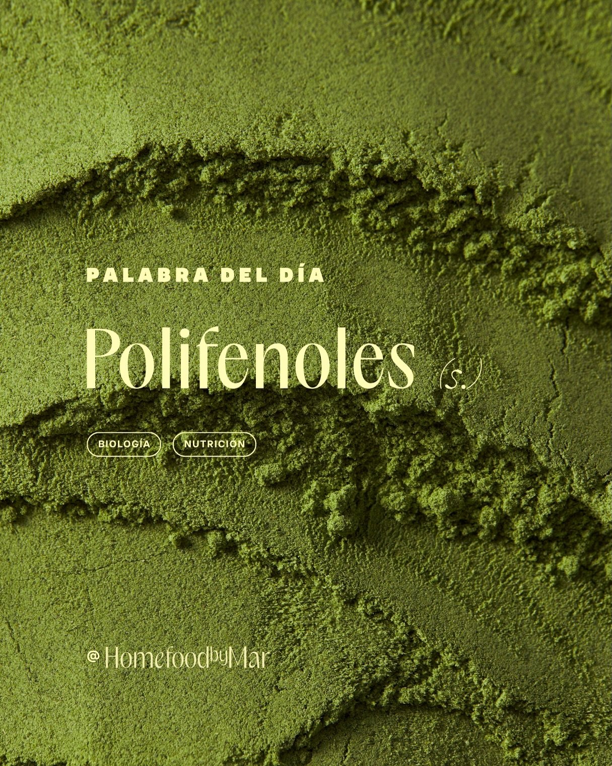 &Uacute;ltimamente he estado aprendiendo m&aacute;s sobre c&oacute;mo funcionan los alimentos en el cuerpo y esta palabra sale TODO el tiempo

👀 polifenoles 👀

b&aacute;sicamente: cosas buenas de las plantas que ayudan a tu cuerpo (y a tu intestino