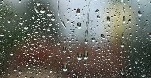 Why We Clean Windows in the Rain (And Why You Should Too)