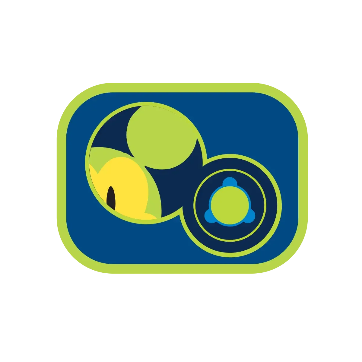 Digital illustration of a camera icon with a blue background, green border, and abstract circular designs inside in green, yellow, and blue.