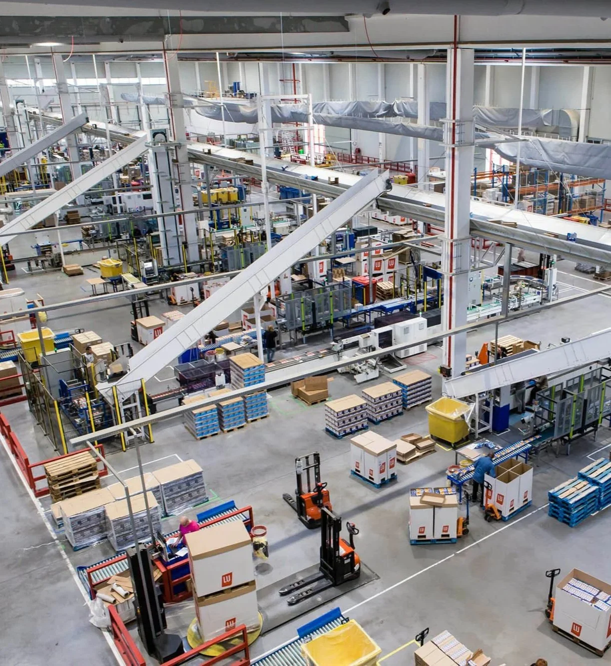 Inside a large warehouse or distribution center with conveyor belts, workers, pallets, and boxes being processed and organized.