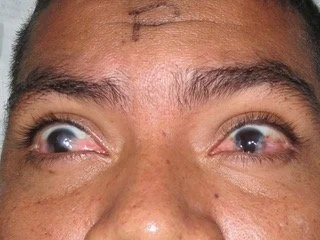 IMG_0263.jpeg