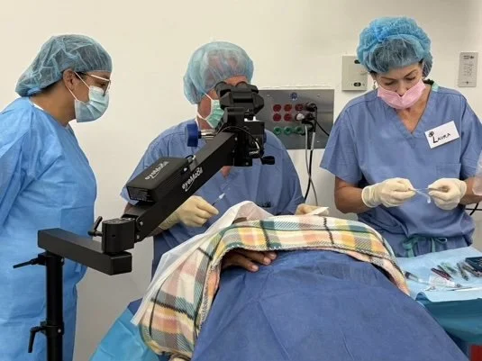 $12,000 / New Microscope