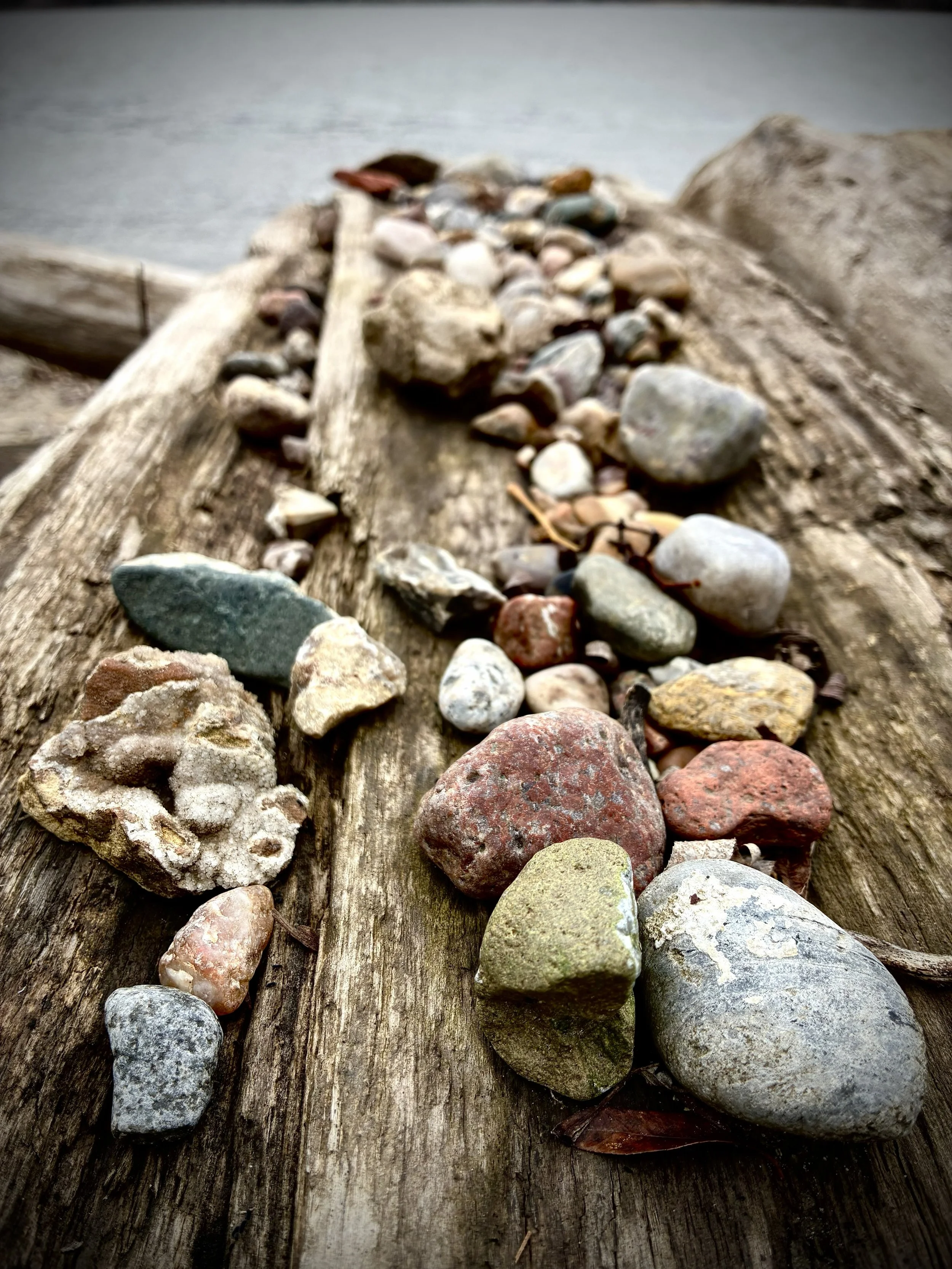 Colorful rocks carefully arranged on a driftwood log, overlooking the water