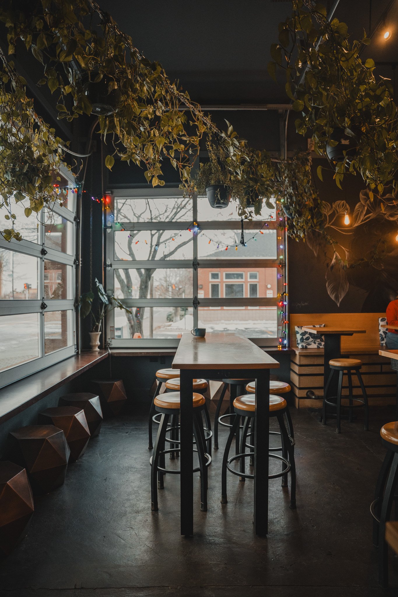 Interior of a cozy cafe with wooden tables and chairs, hanging plants, fairy lights, and large windows showing a winter scene outside.