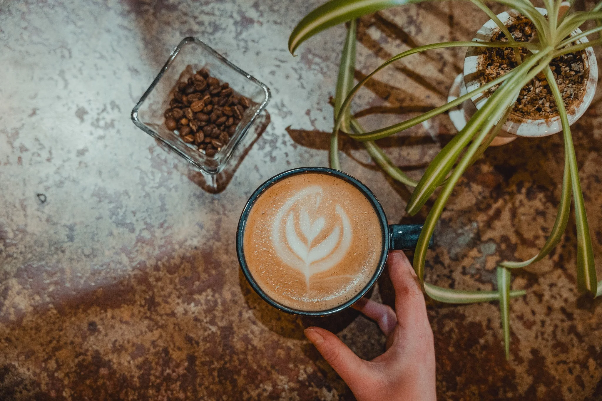 A top-down view of a coffee mug with latte art, a small glass dish with coffee beans, and a potted plant on a textured brown surface.