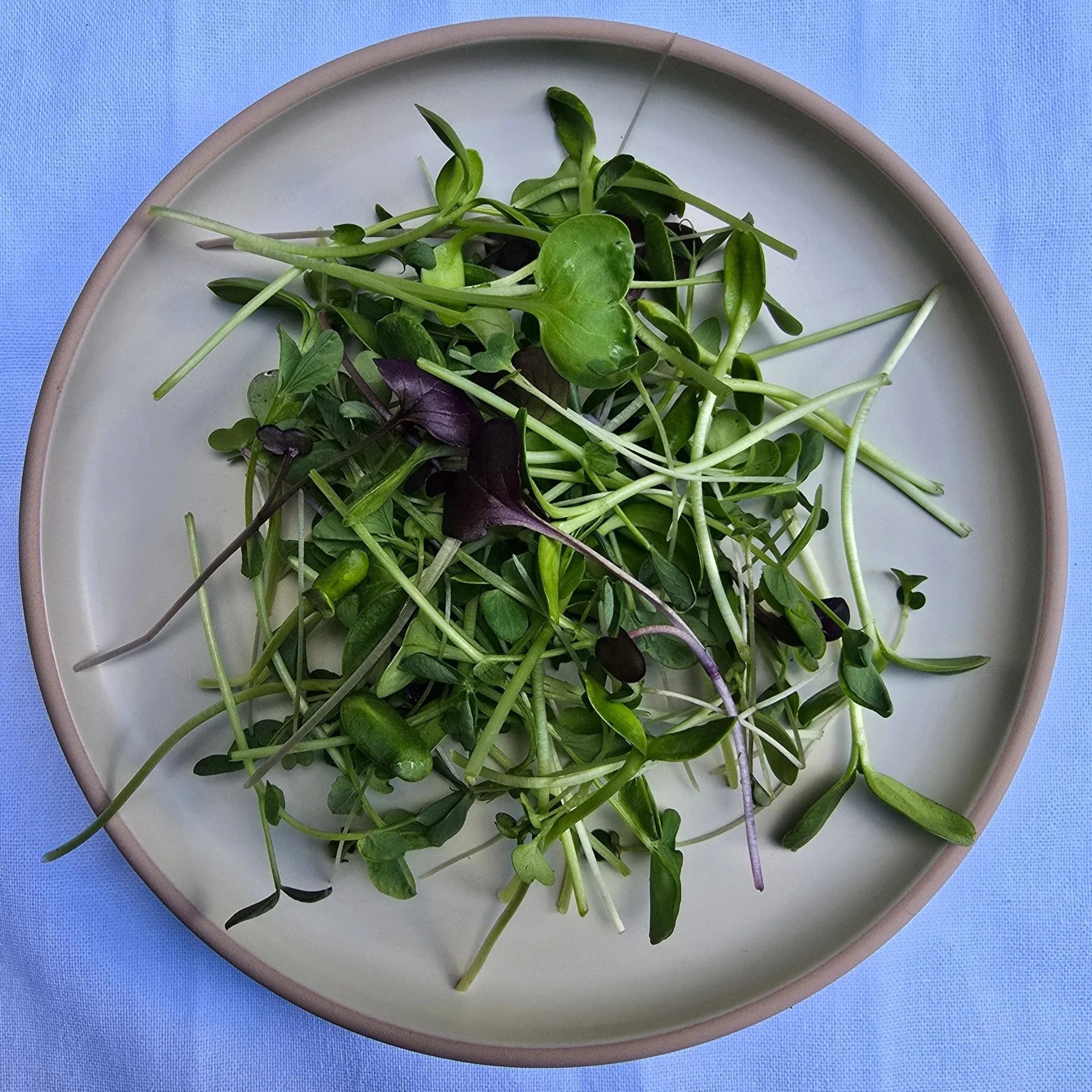 IMA%2BGreens%2BImmunity%2BBlend.jpg