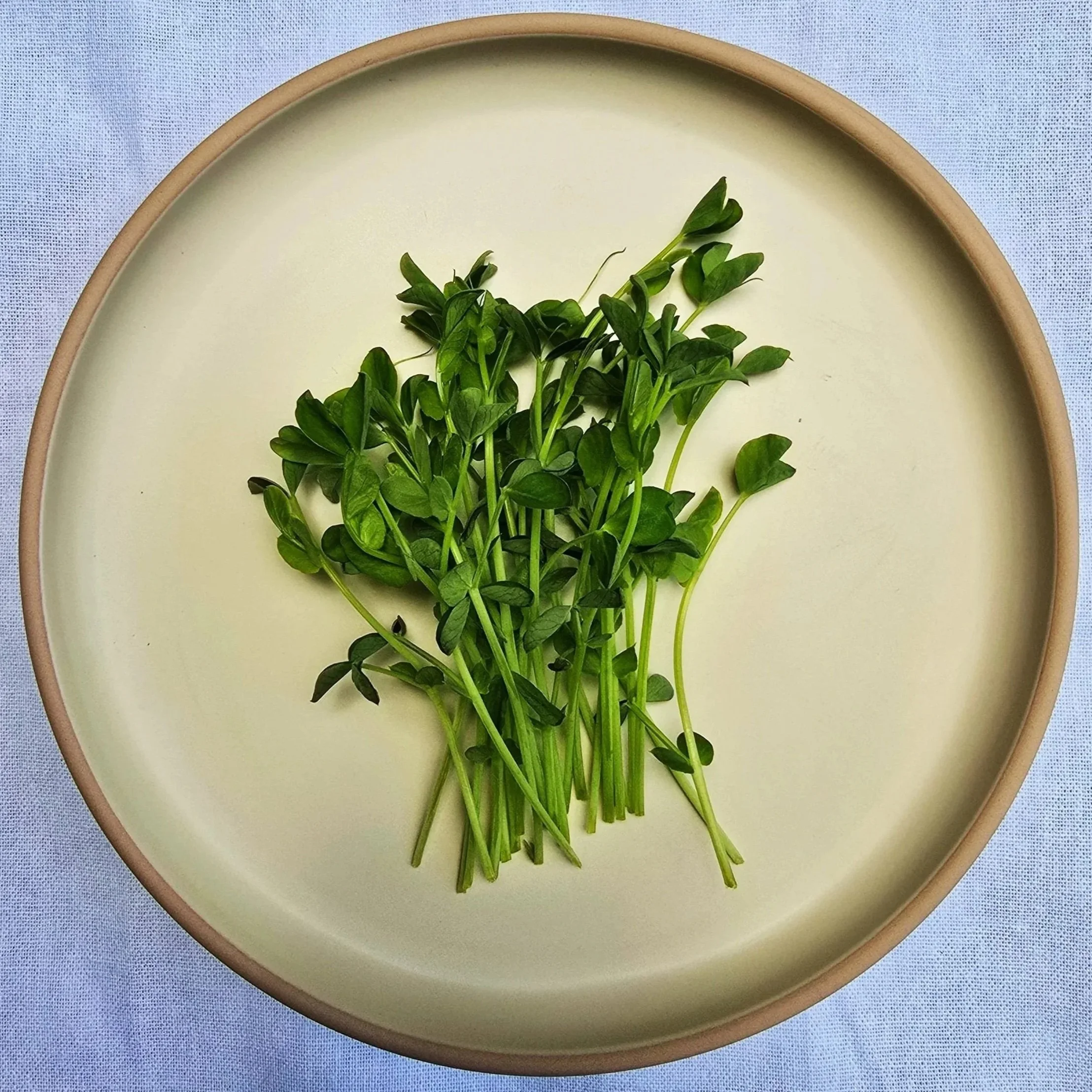 Ima%252BGreens%252BPea%252BShoots.jpg
