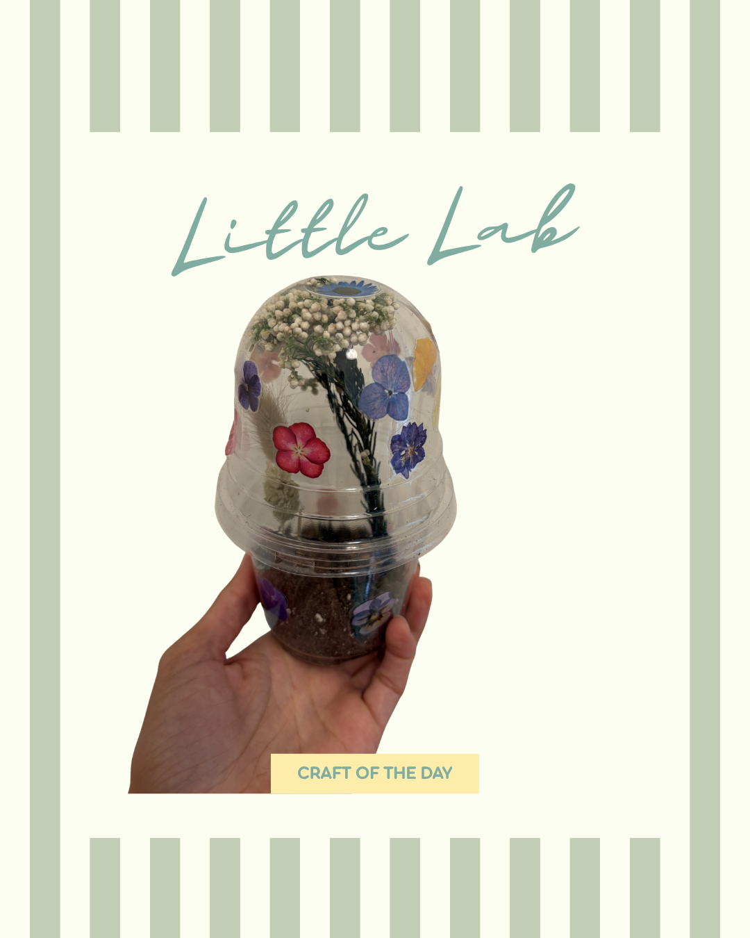 Hand holding a small plant in a clear plastic cup decorated with paper flowers, titled 'Little Lab', labeled 'Craft of the Day'