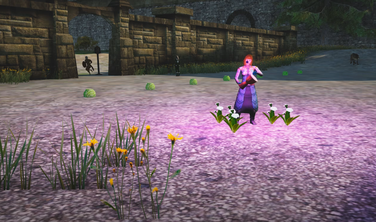 Project Gorgon Linux Optimization Fix Using Proton