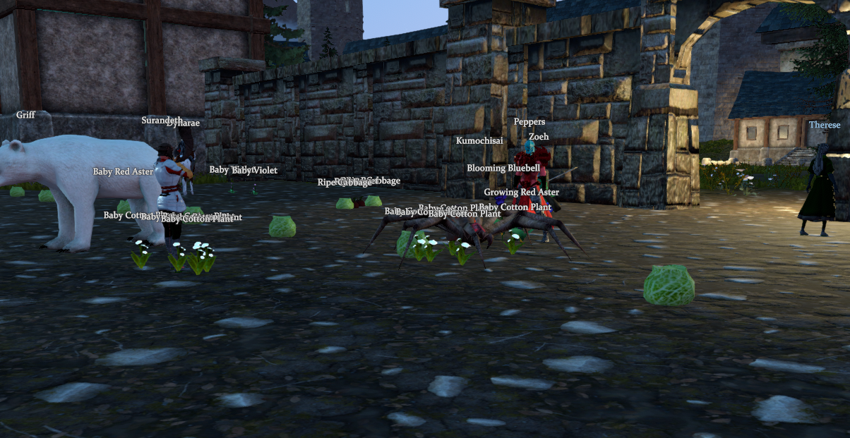 Project Gorgon Gardening Guide