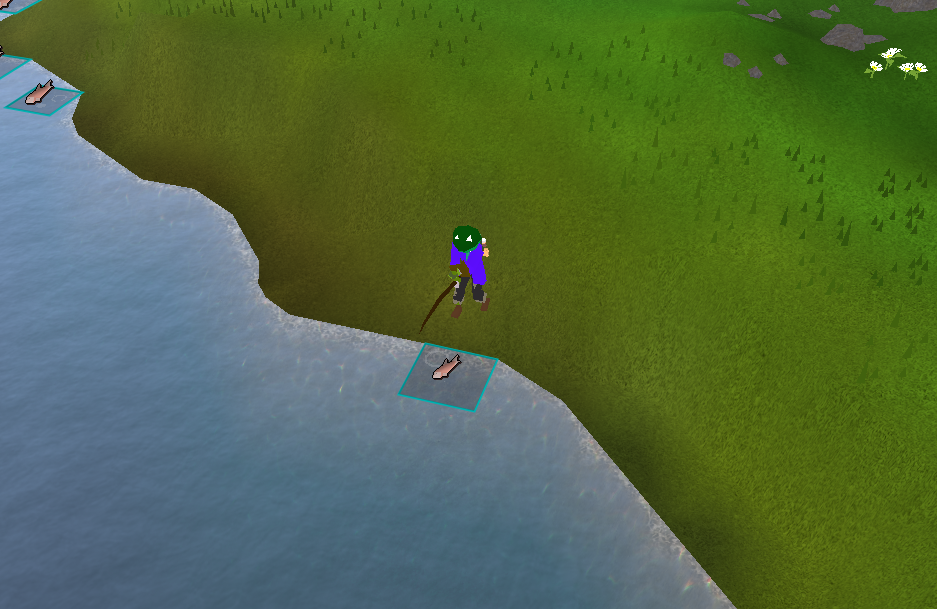 OSRS Best Place to Fish Salmon