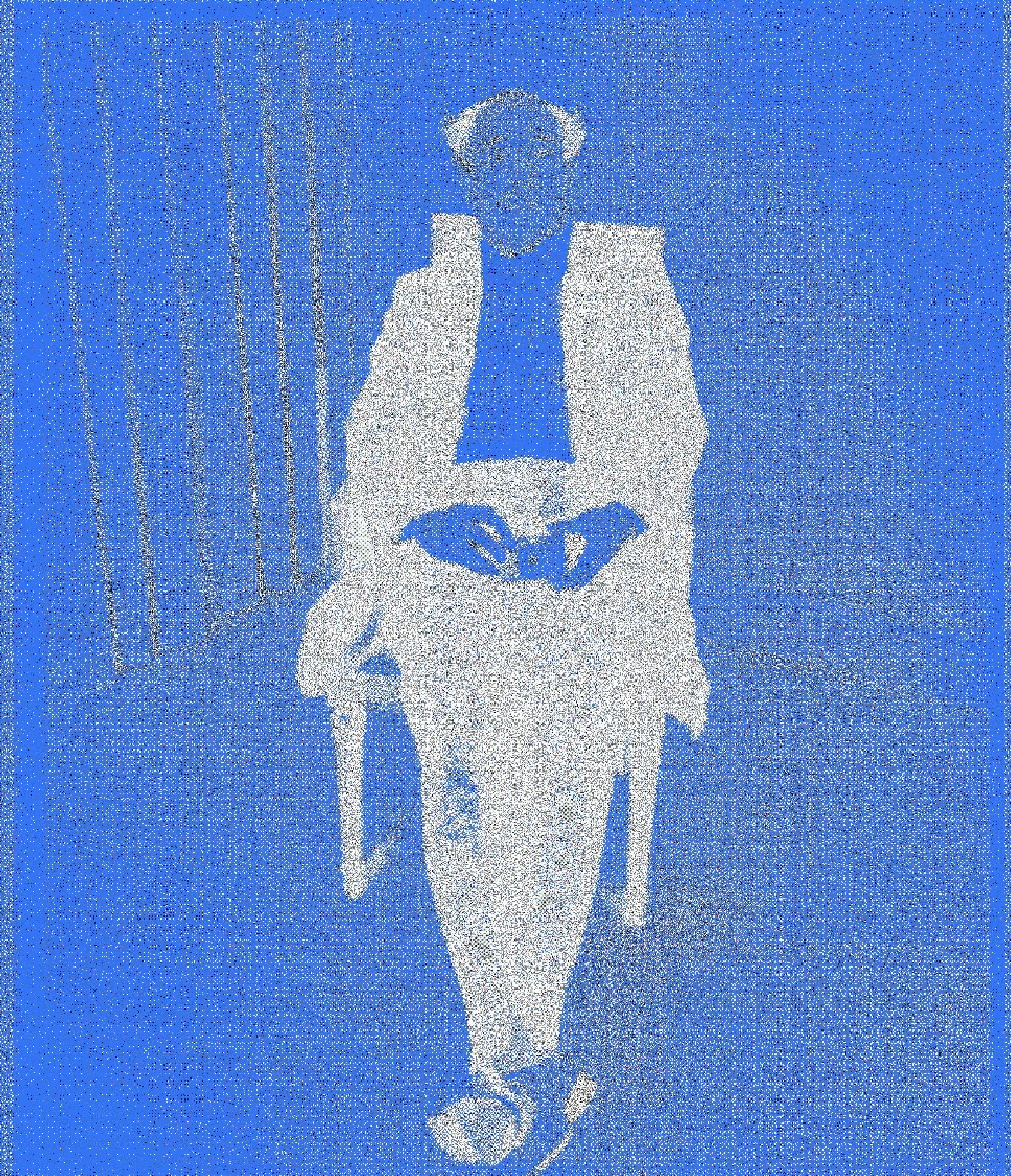 NOBUYASHI ARAKI NEGATIVE POSTER 1