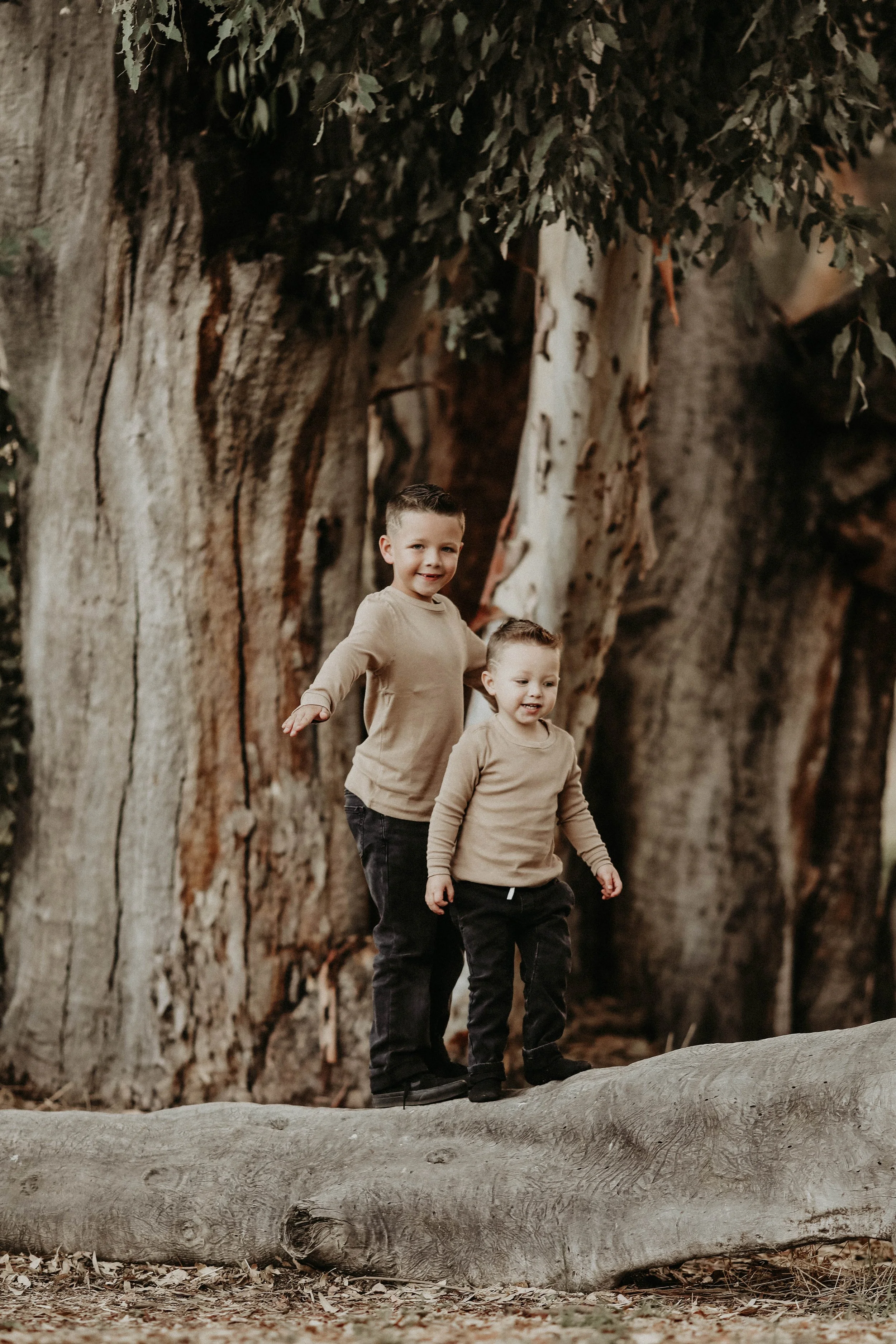 Two young boys standing on a fallen tree trunk in a forest, with giant tree trunks and greenery in the background.