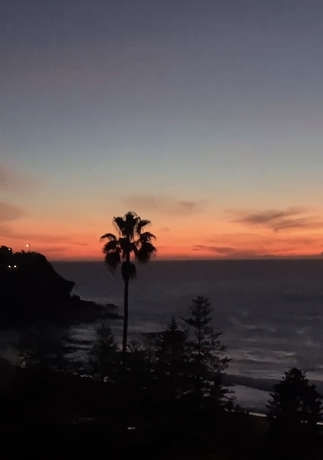 The view from your new life after coaching. Sunset over the ocean with a palm tree in the foreground, colourful sky with shades of orange, pink, and purple.