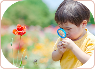 Receptive Language: Comprehension & Processing