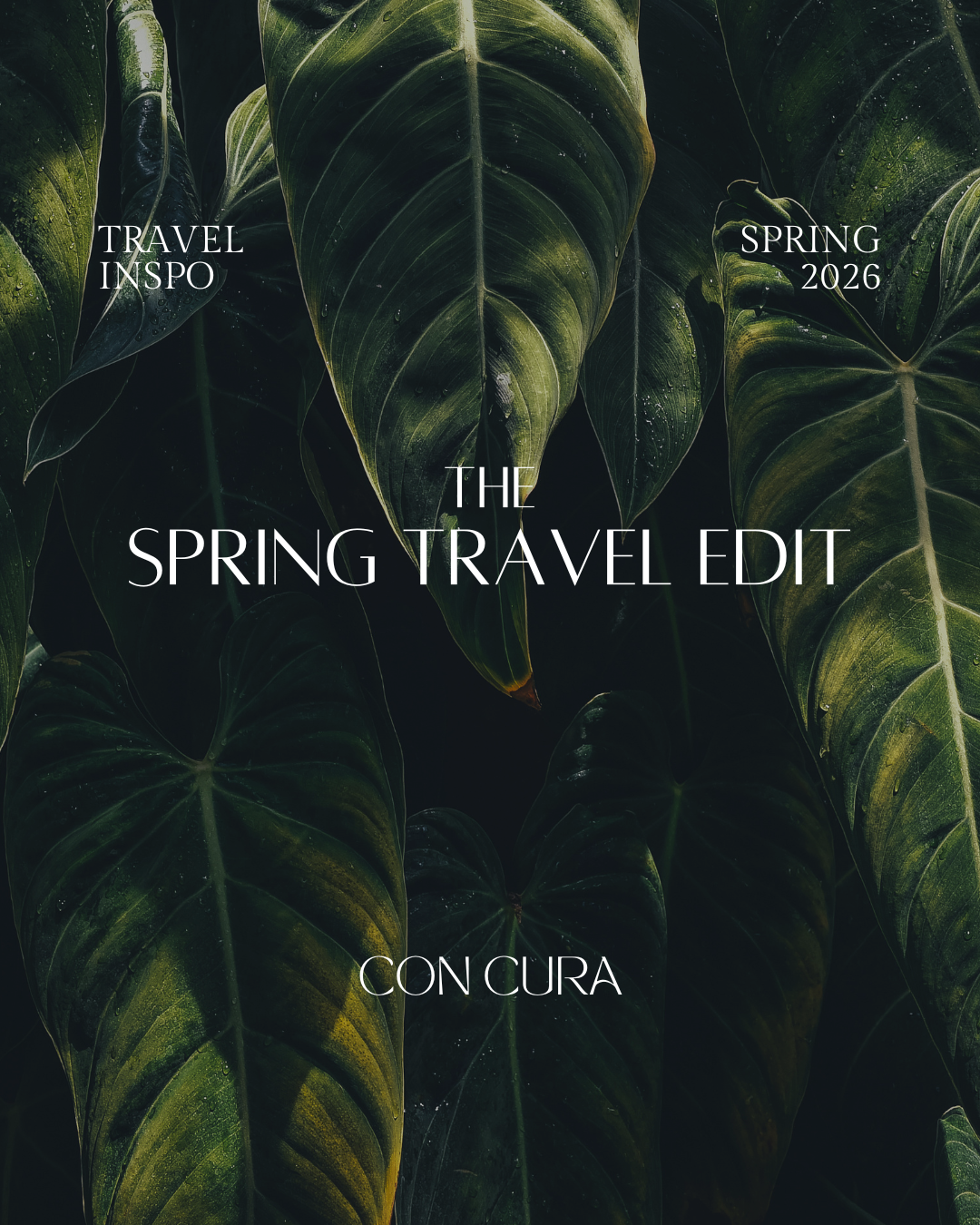 The Spring Travel Edit | 2026