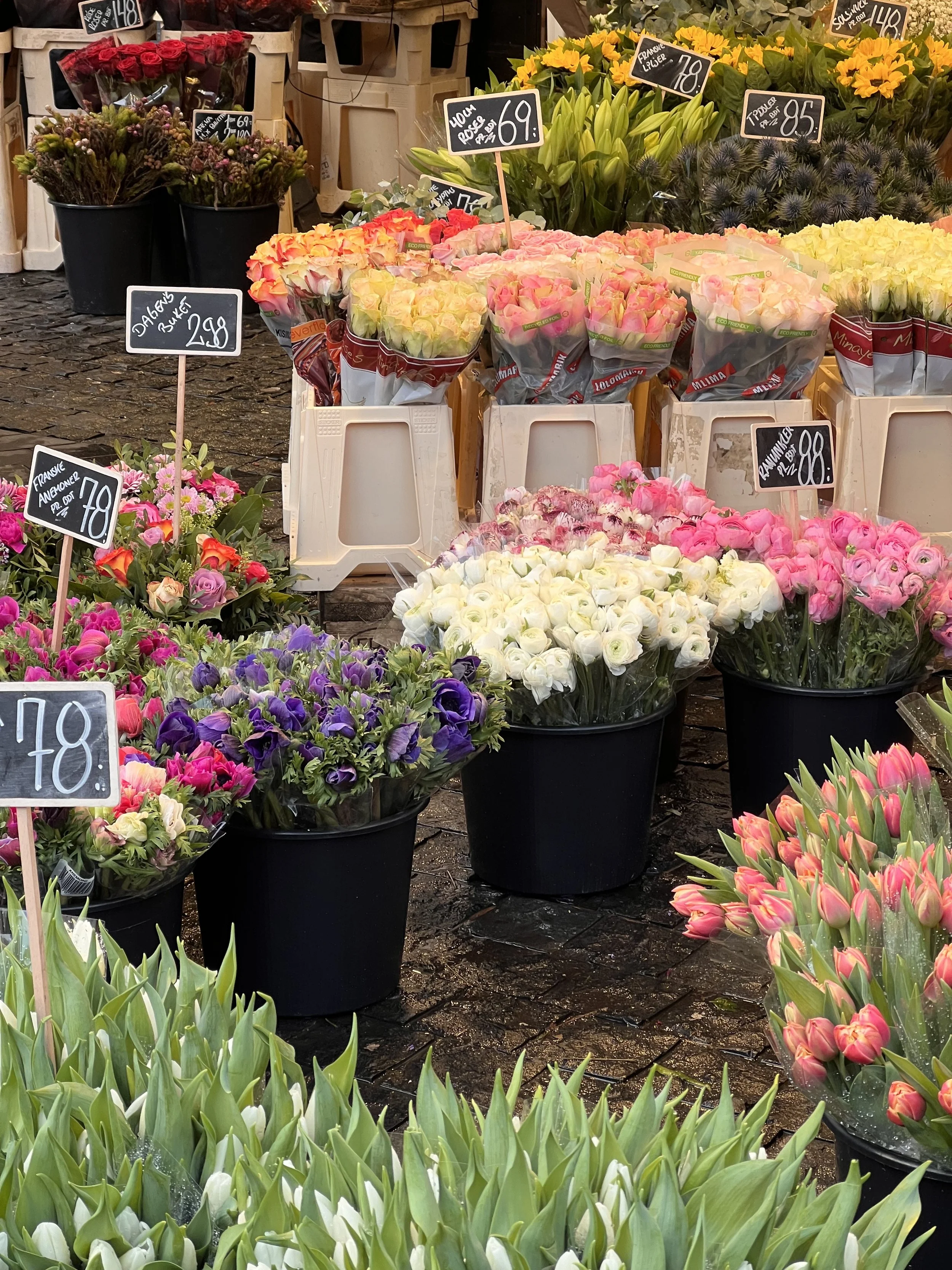 Winter in Scandinavia