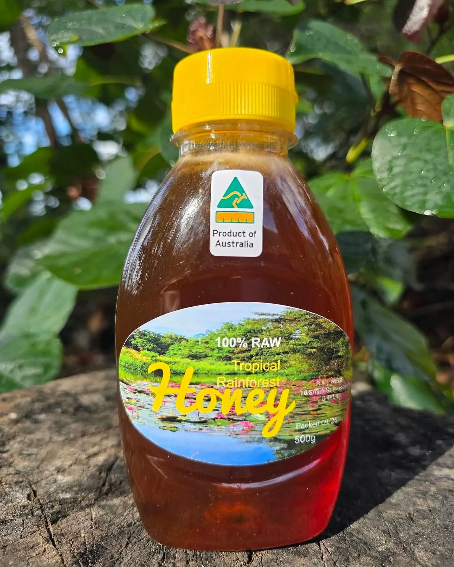 Honey+24.09.26.jpg