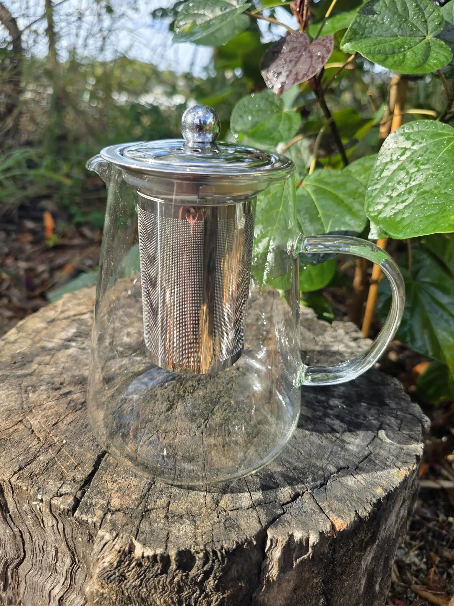 Glass teapot 24.09.26.jpg