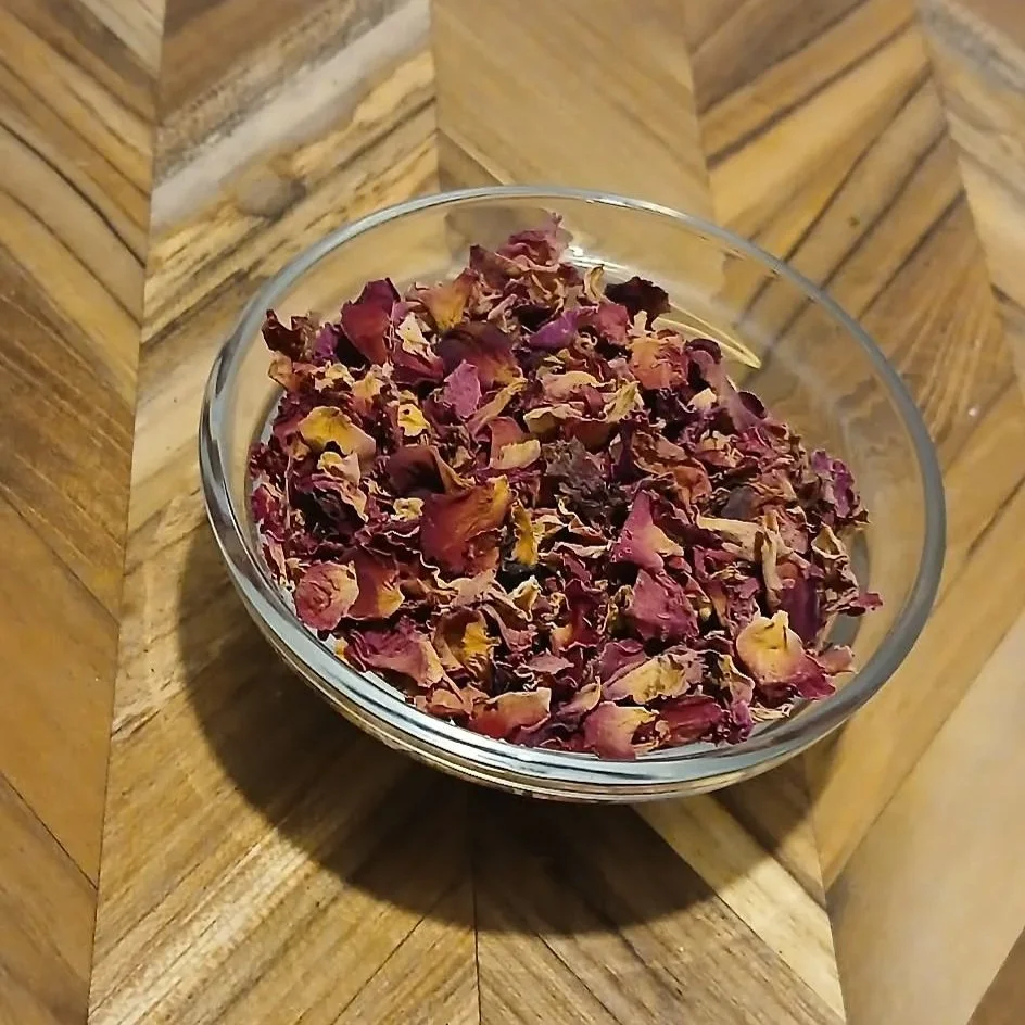 Rose+petal+19.10.2026.jpg
