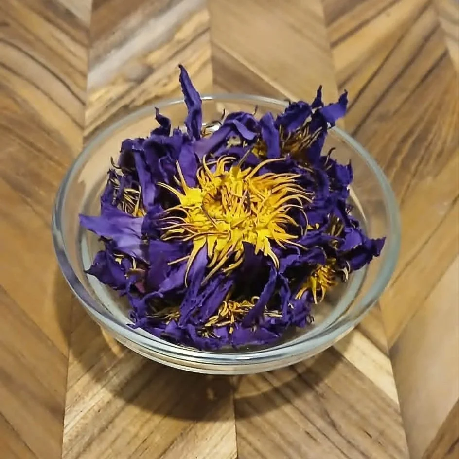 Blue+Lotus+flower+14.07.2026.jpg