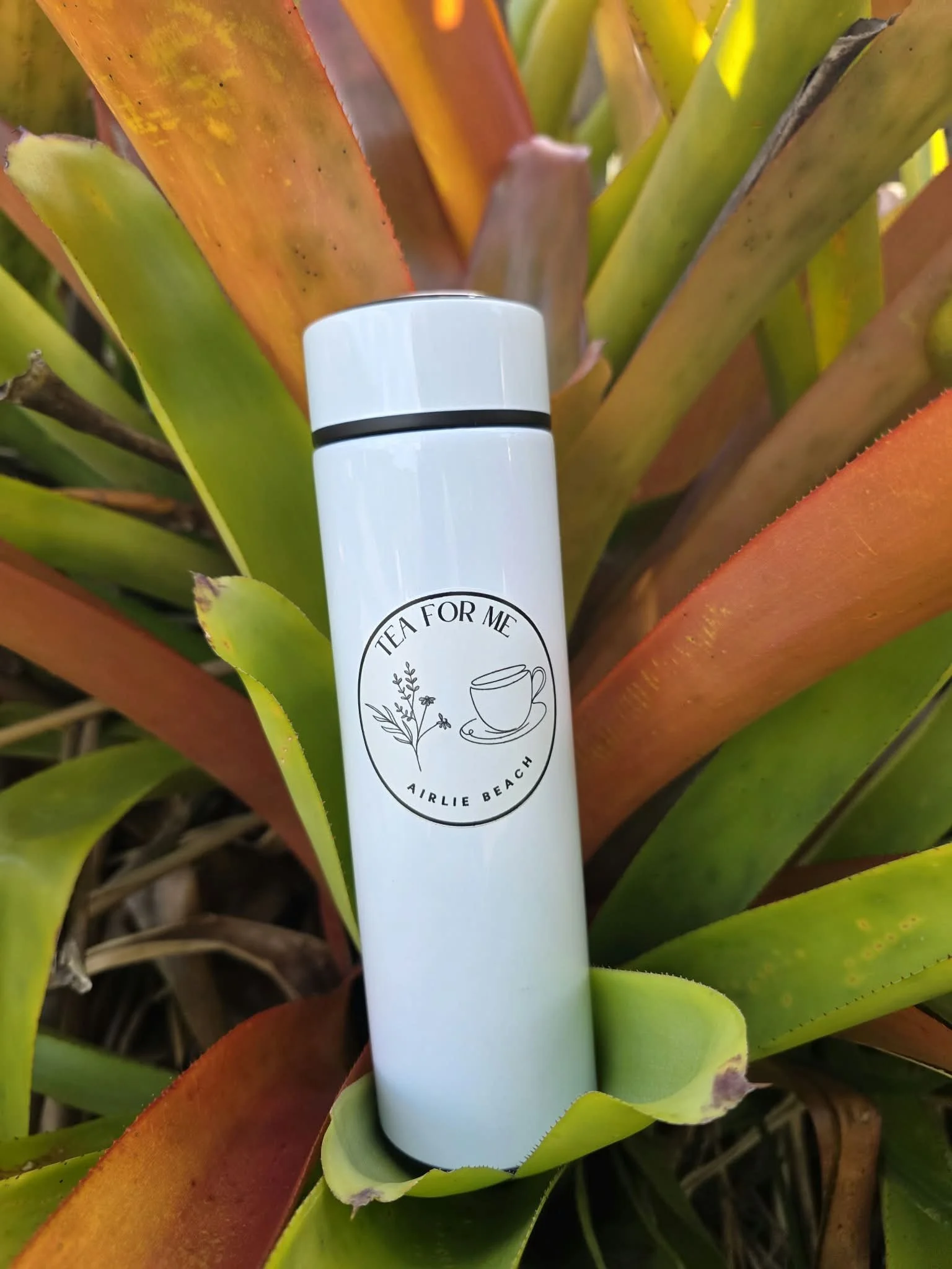 Diffuser bottle 24.09.26 1.jpg