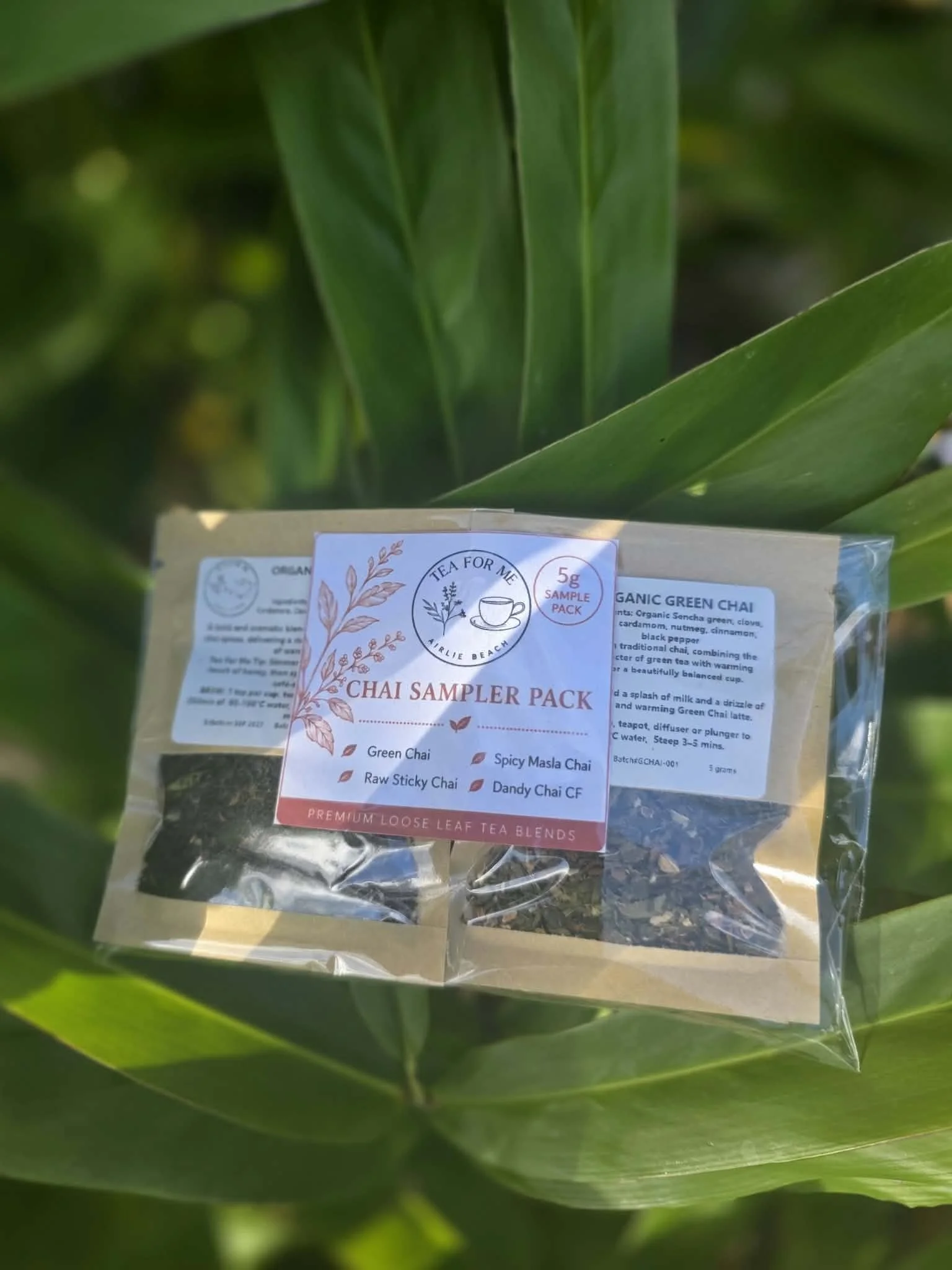 Chai sampler pack