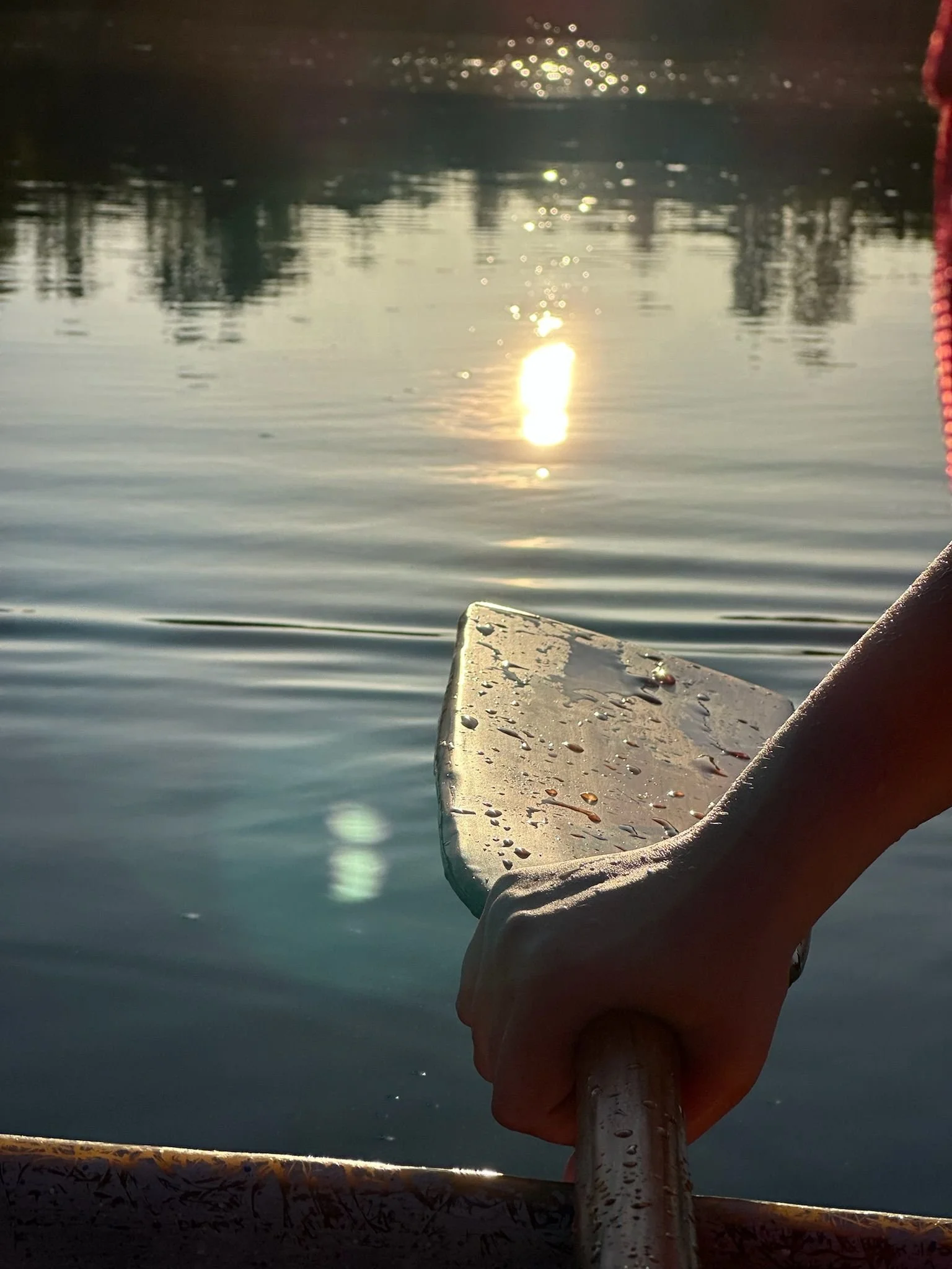 Image of dragon boat paddle in the water with the sun reflecting off.