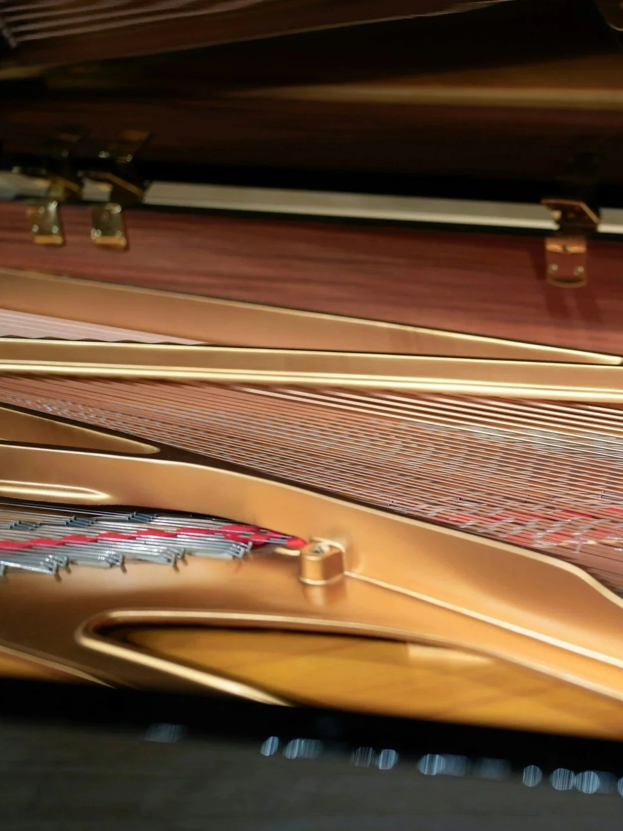 Close-up view of the inside of a grand piano showing its strings, hammers, and metal harp.