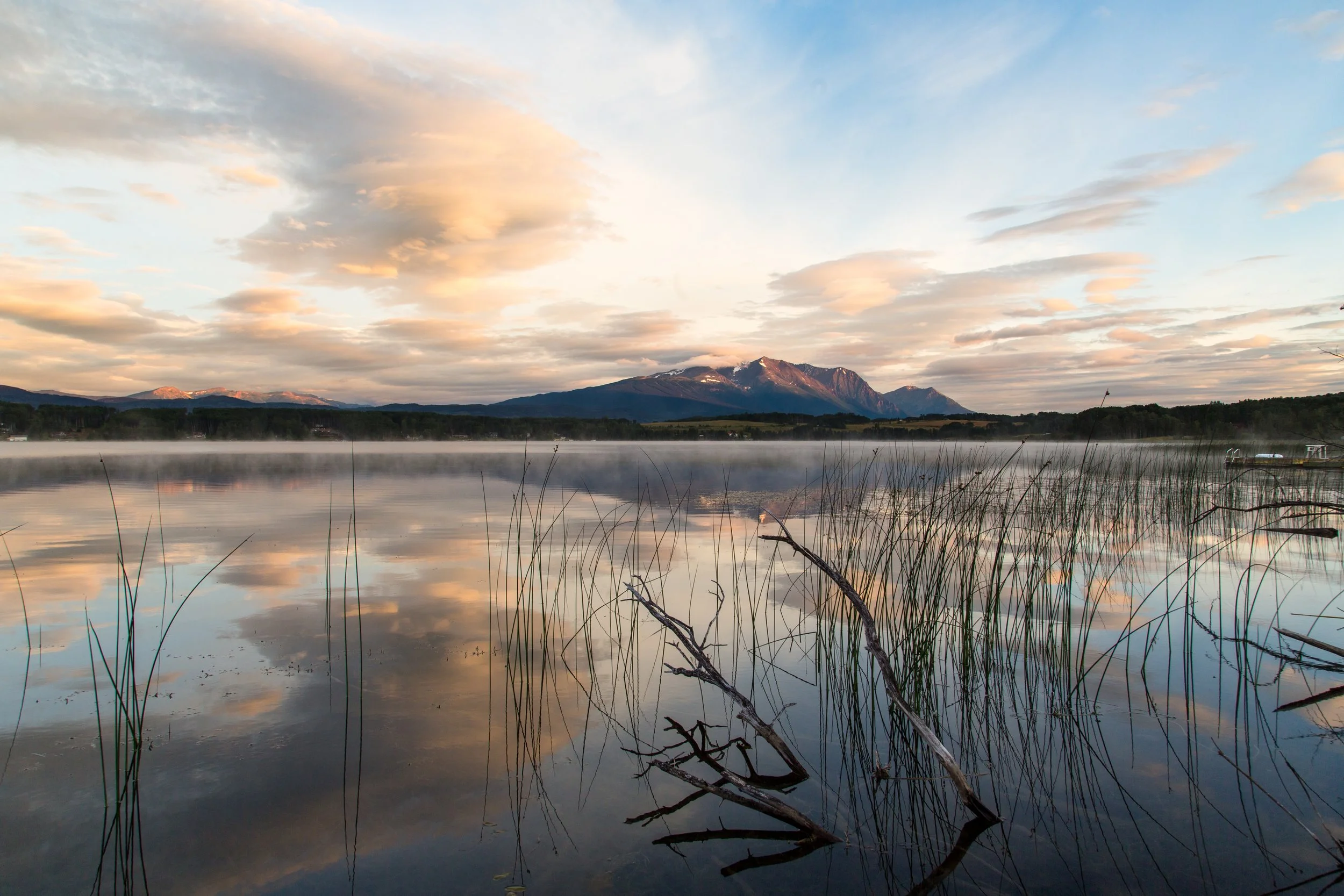A tranquil lake reflecting a cloudy sky at sunrise, with mountains in the distance and grassy reeds in the foreground.