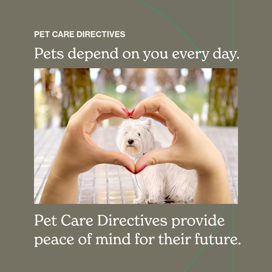 White hands are shaped in a heart in front of a white medium sized dog and his face shows through the heart as he sits outside on a white tile patio
