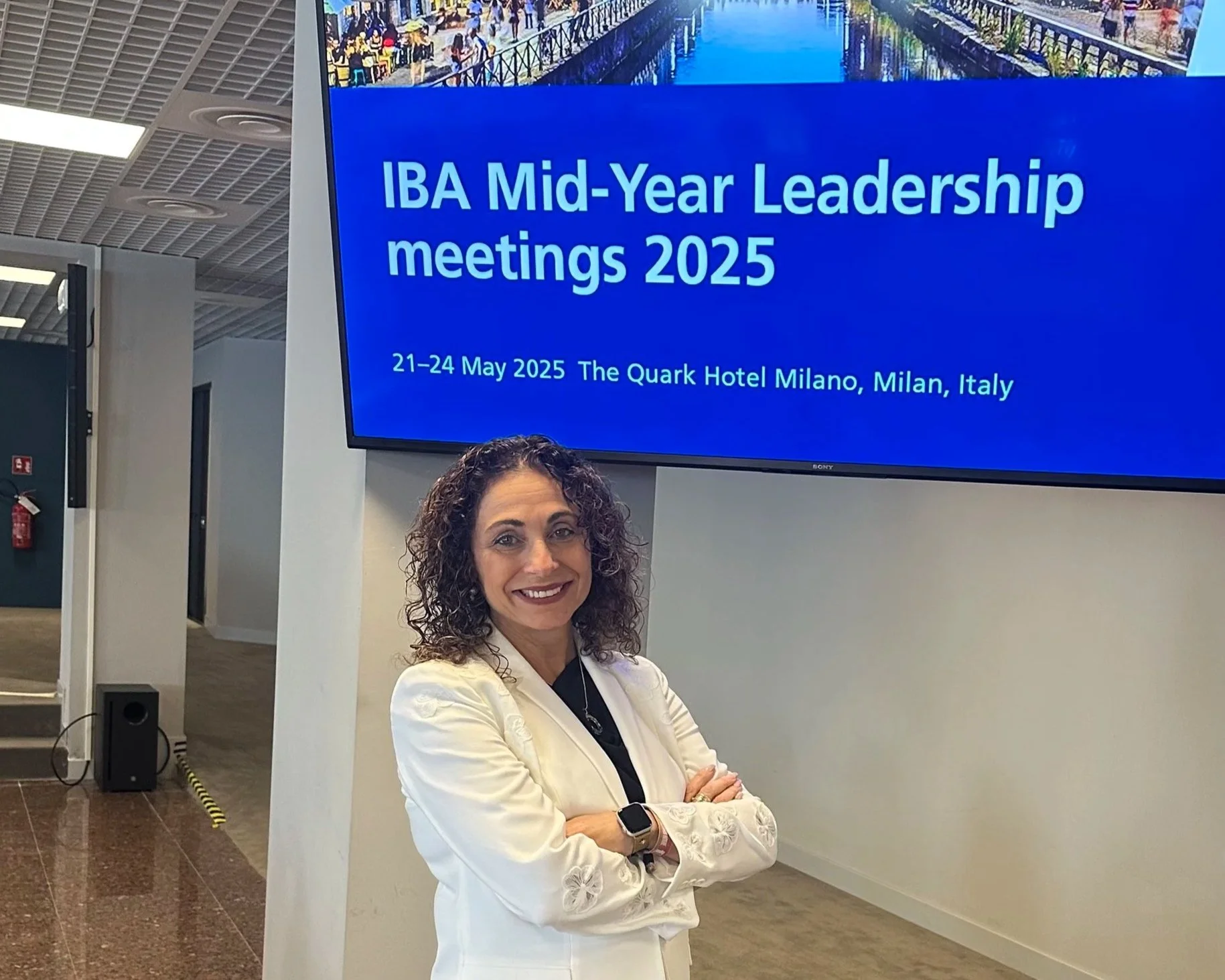 Artificial intelligence and professional ethics: the results of the BIC AI Working Group, International Bar Association