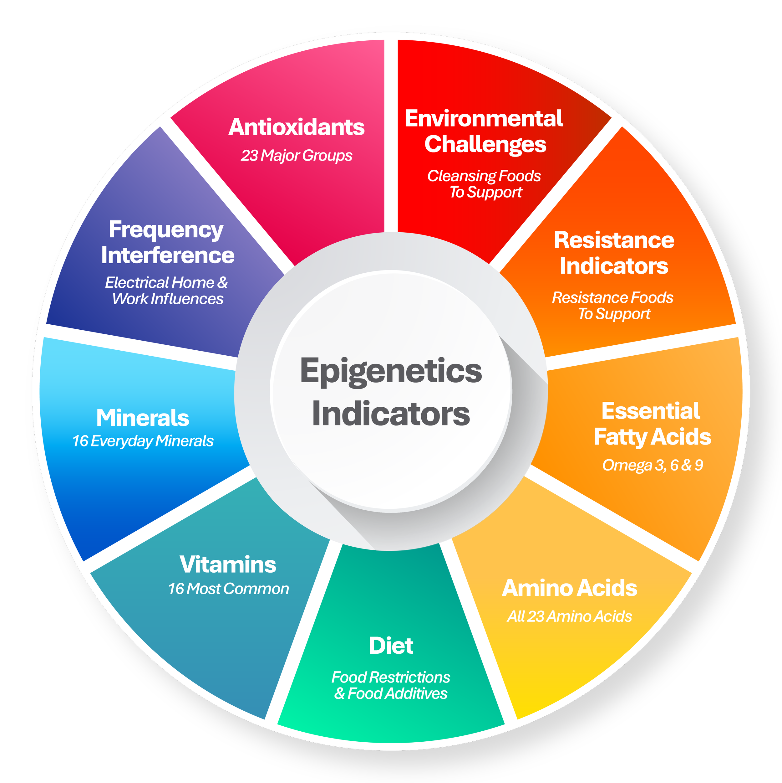 A circular infographic titled 'Epigenetics Indicators' divided into colorful segments: 'Antioxidants', 'Environmental Challenges', 'Resistance Indicators', 'Essential Fatty Acids', 'Amino Acids', 'Diet', 'Vitamins', 'Minerals', and 'Frequency Interference'. Each segment includes brief descriptions related to nutrients, food influences, and food restrictions.