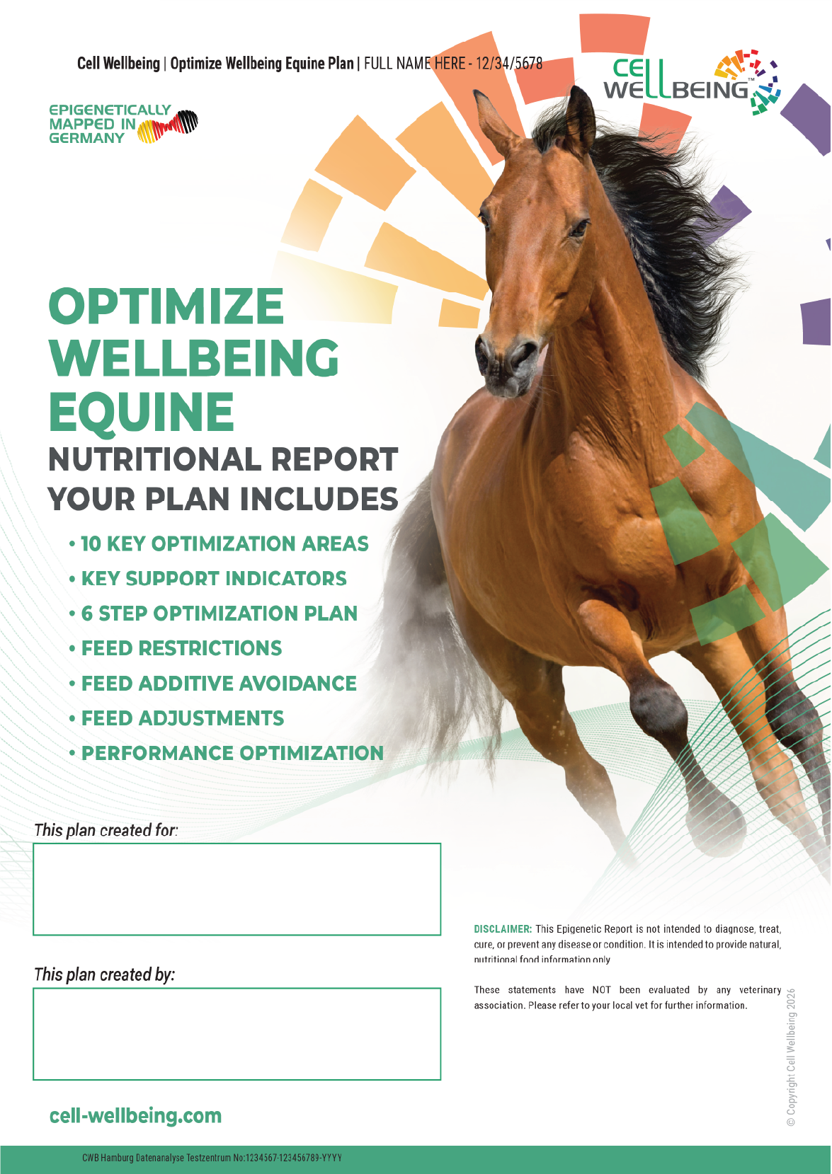 Flyer for an horse wellbeing plan titled "Optimize Wellbeing Equine" featuring a running horse on the right side, with colorful graphical elements and text outlining the plan's components, including key areas for optimization, support indicators, and feed management strategies.
