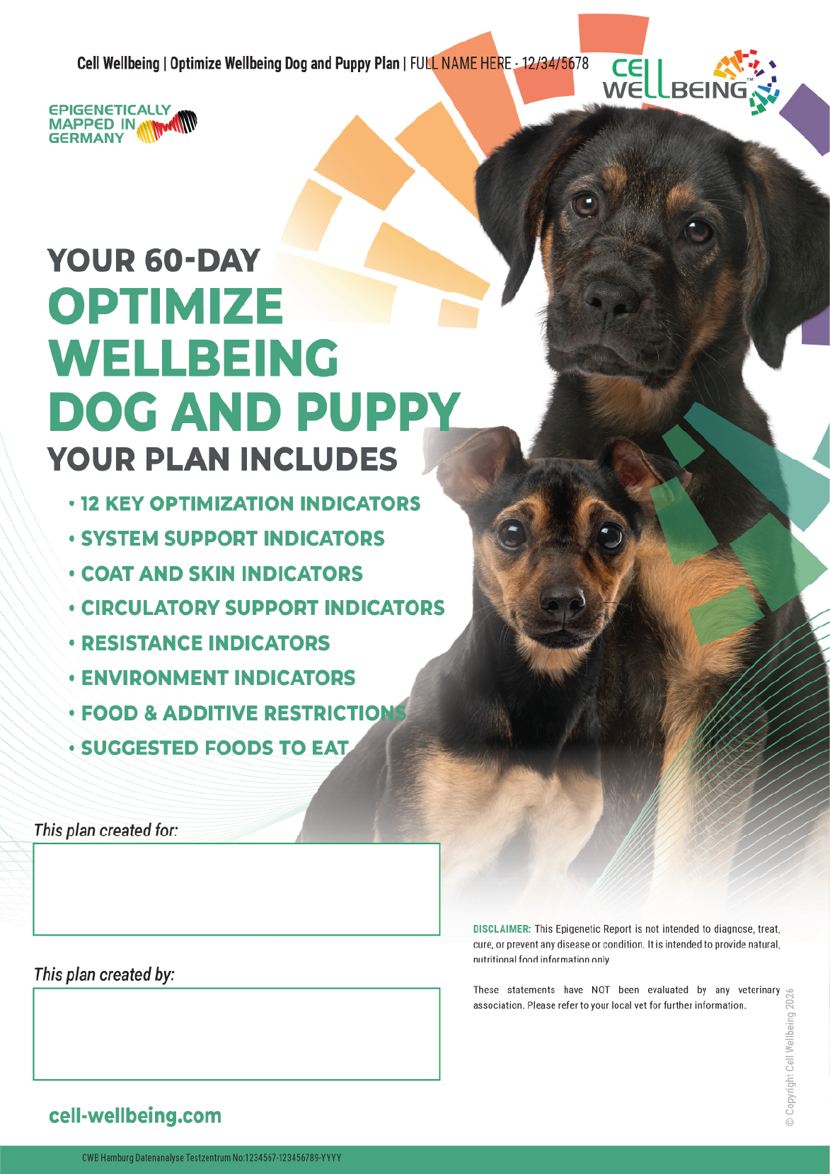 Flyer for a 60-day dog and puppy wellbeing plan featuring an image of a black and brown puppy and a black and brown dog, with colorful graphic elements and text detailing the plan's components and benefits.