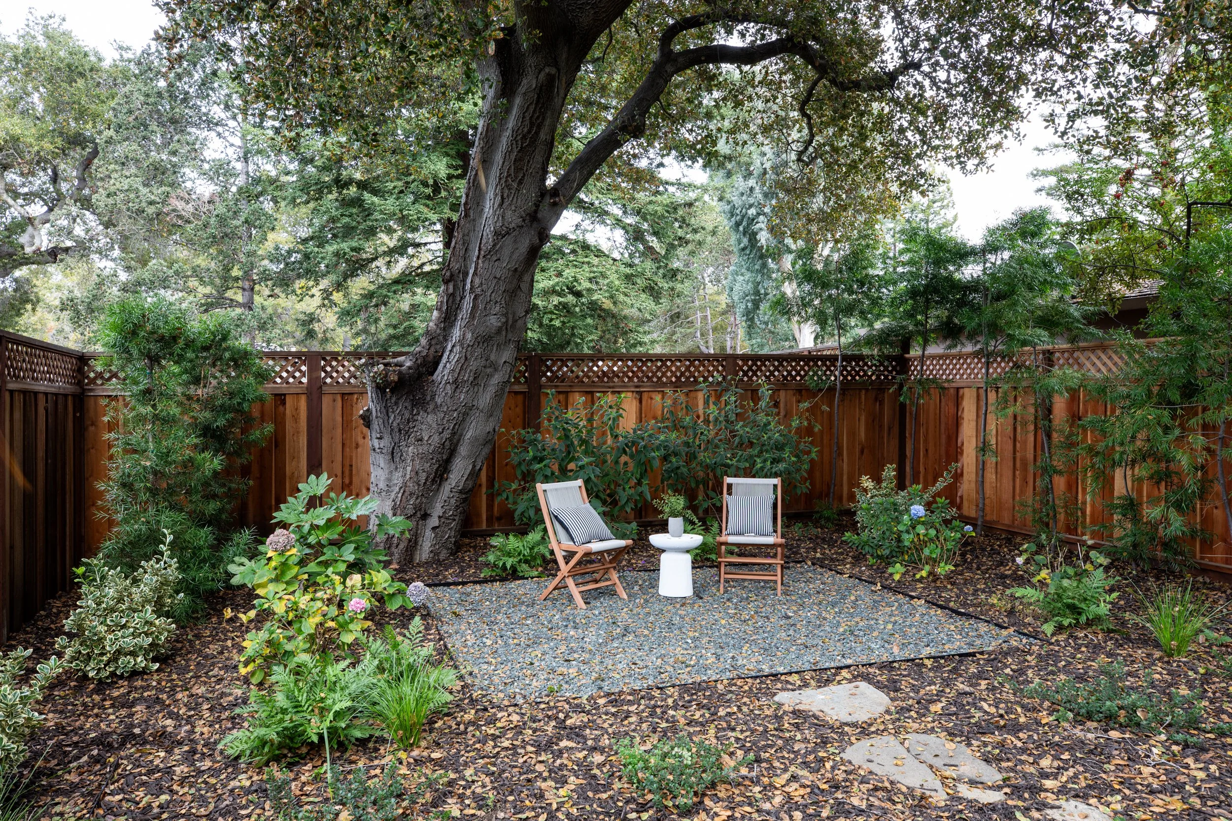 Backyard with a large tree, wooden fence, and two chairs around a small white table on a gravel patch, surrounded by shrubs and plants.