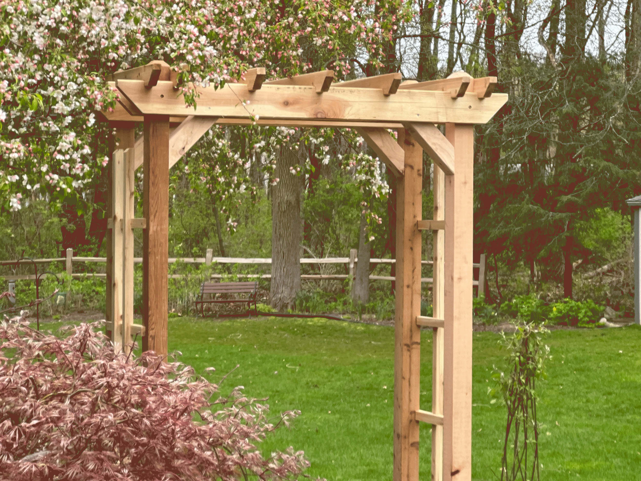 Trellis-after-1-1.png