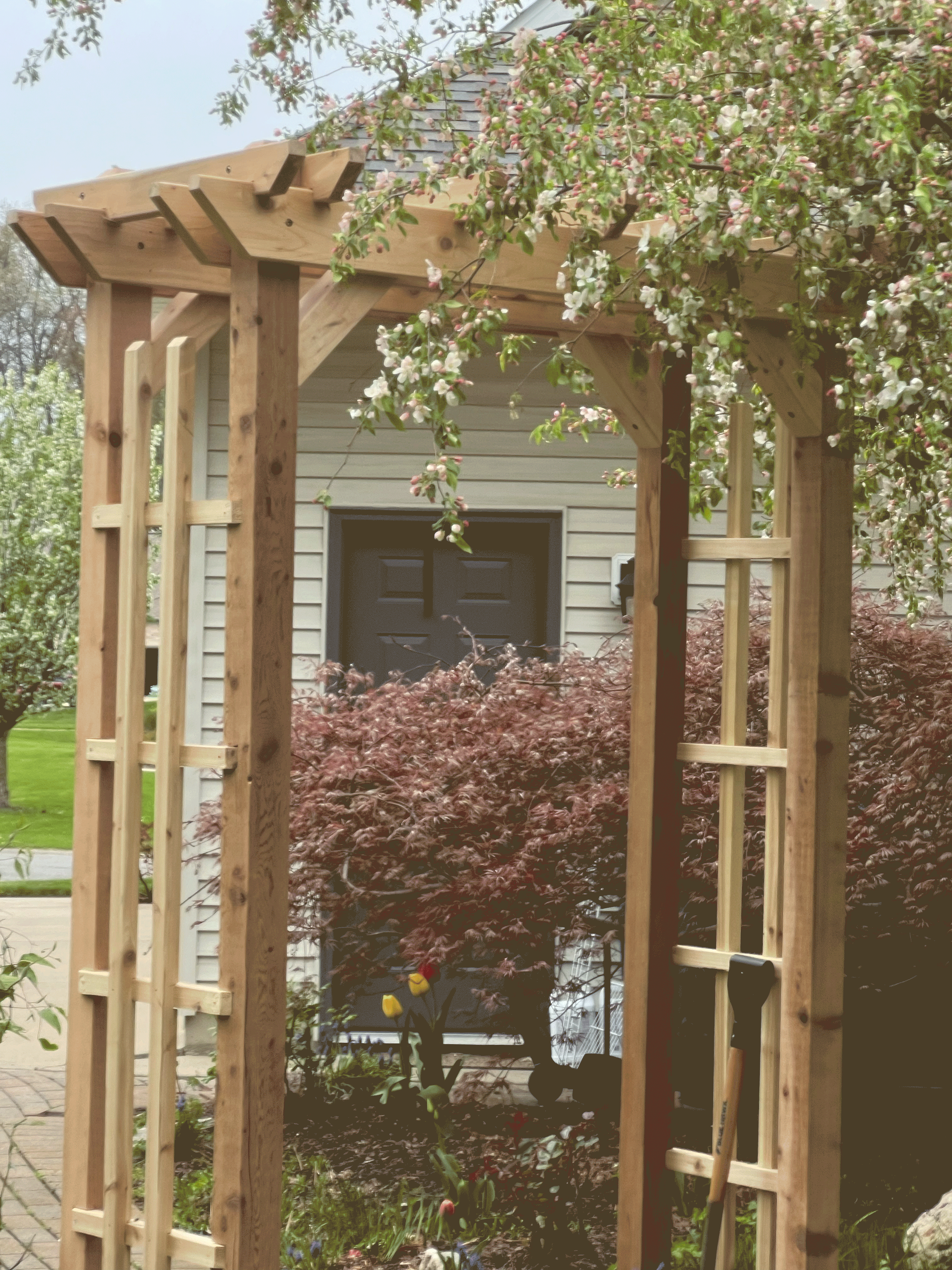Trellis-after-1-3.png