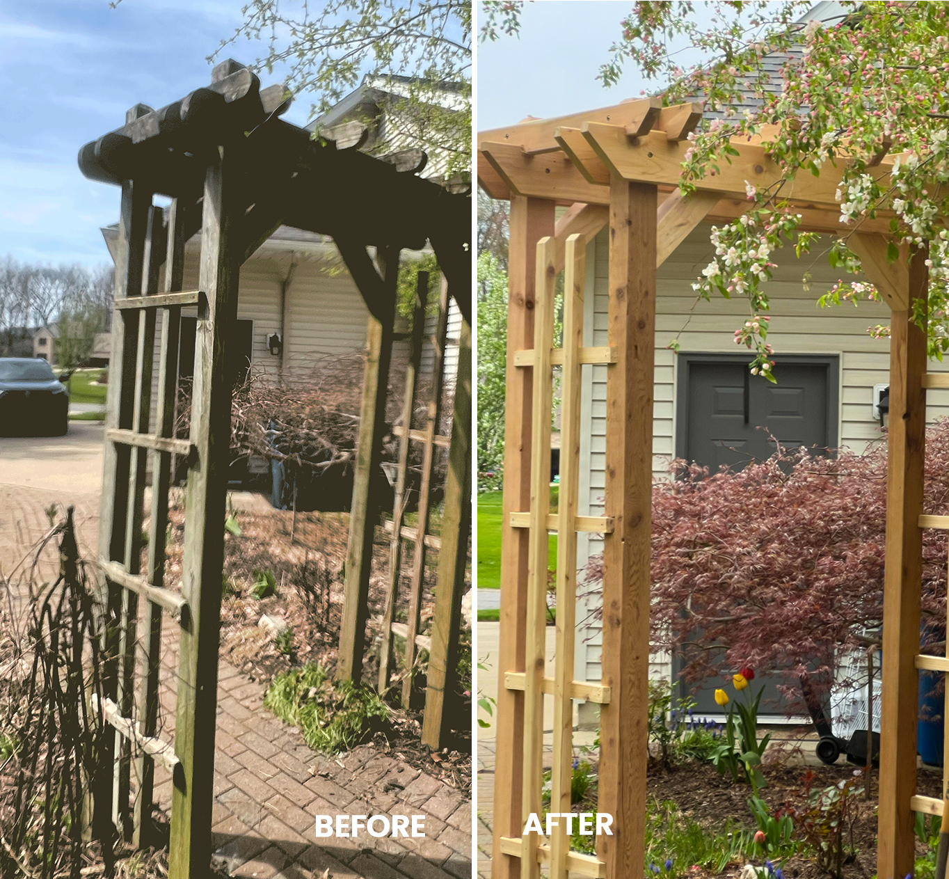 Trellis Upgrade