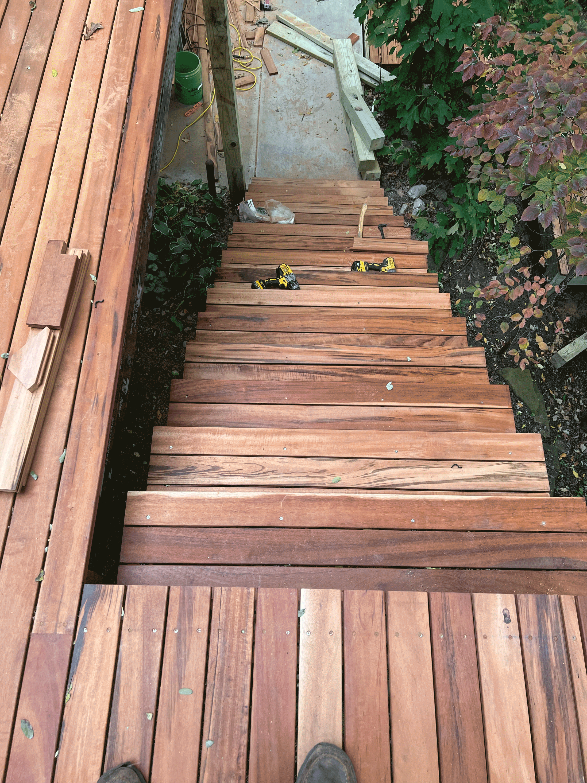 Tiger-wood-2-11.png