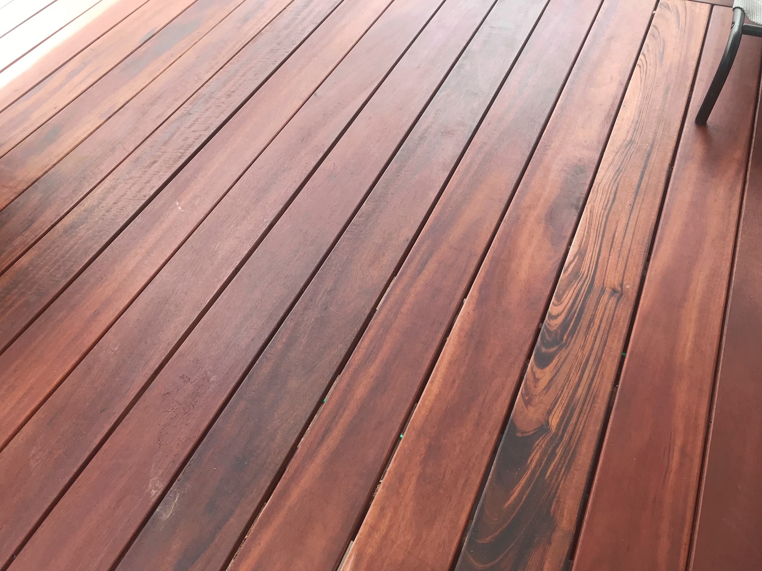 Tiger-wood-1-1.png