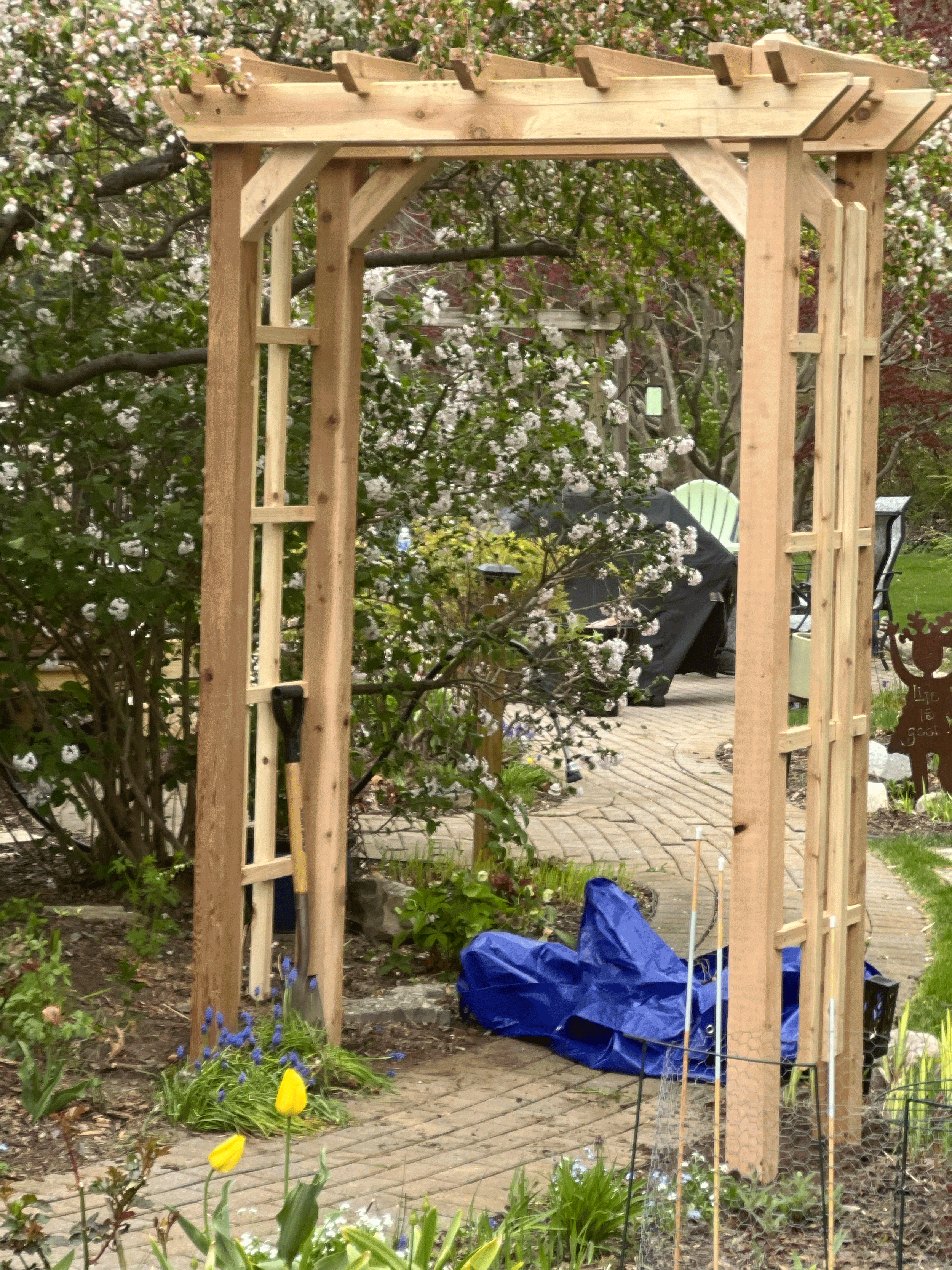 Trellis-after-1-2.png