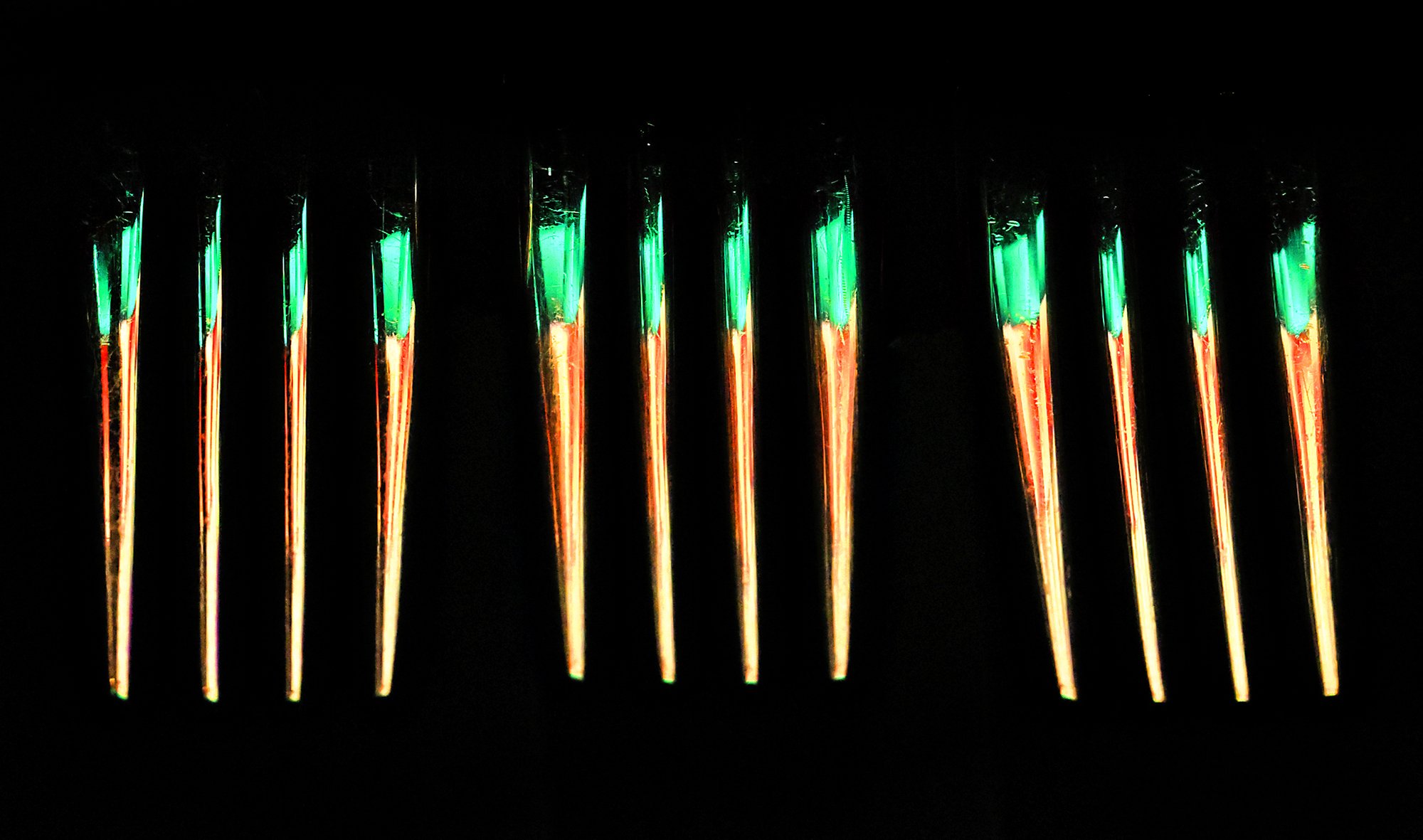 Close-up of multiple colored light-emitting diode (LED) lights arranged in a row against a dark background, with green and orange hues.