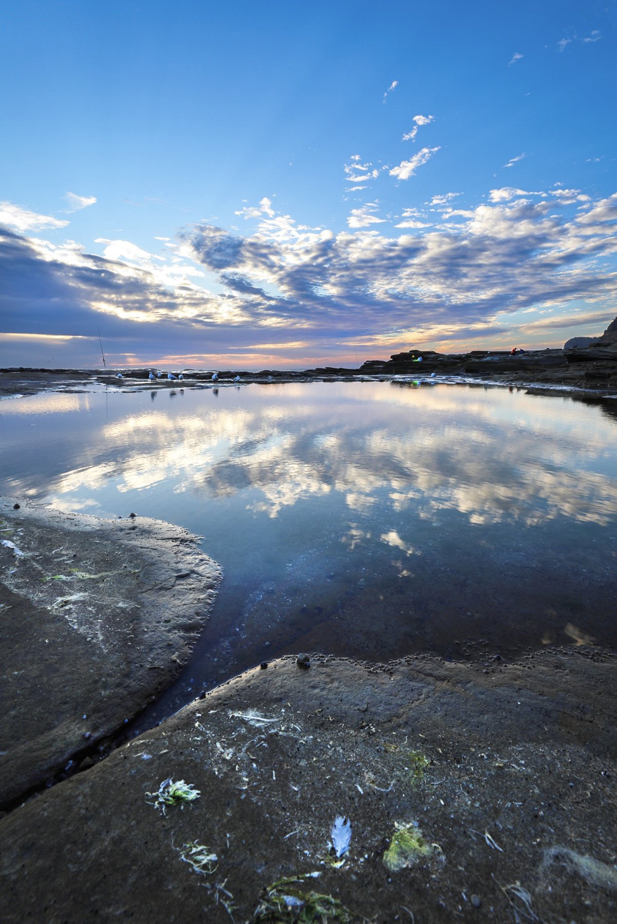 Scenic view of a rocky shoreline with a calm tide pool reflecting clouds and sky during sunset.
