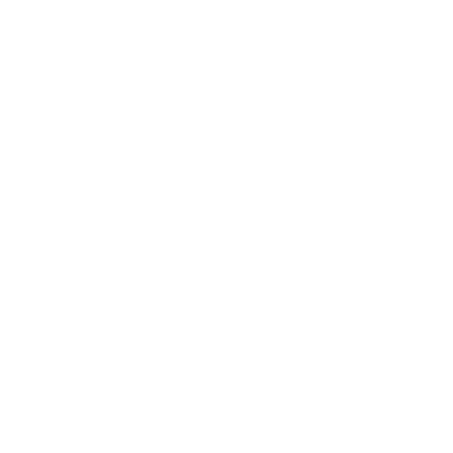 Logo for True North Auto Repair LLC with a compass and gear design.