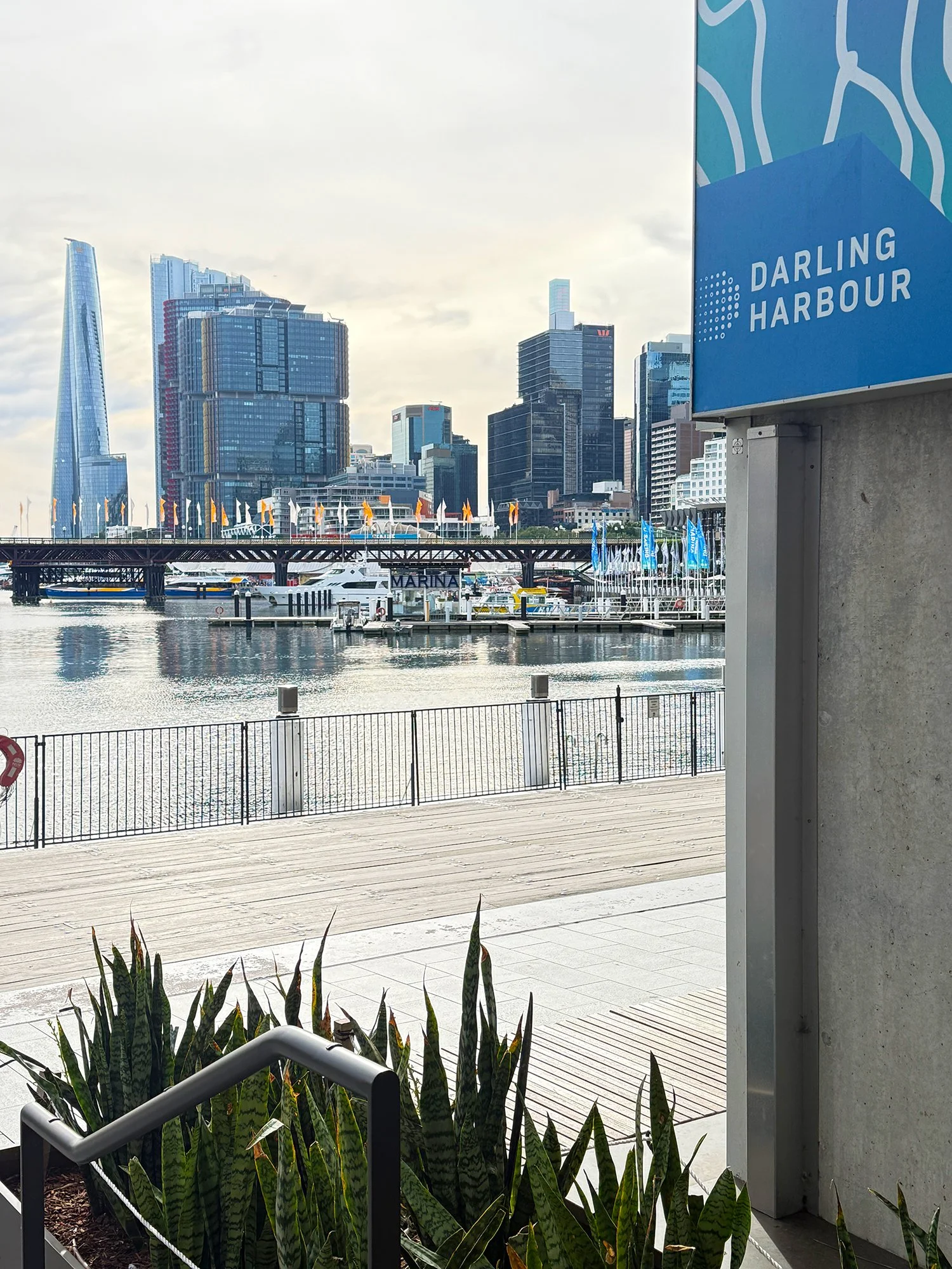 build or revamp a website in the Darling Harbour area, Sydney
