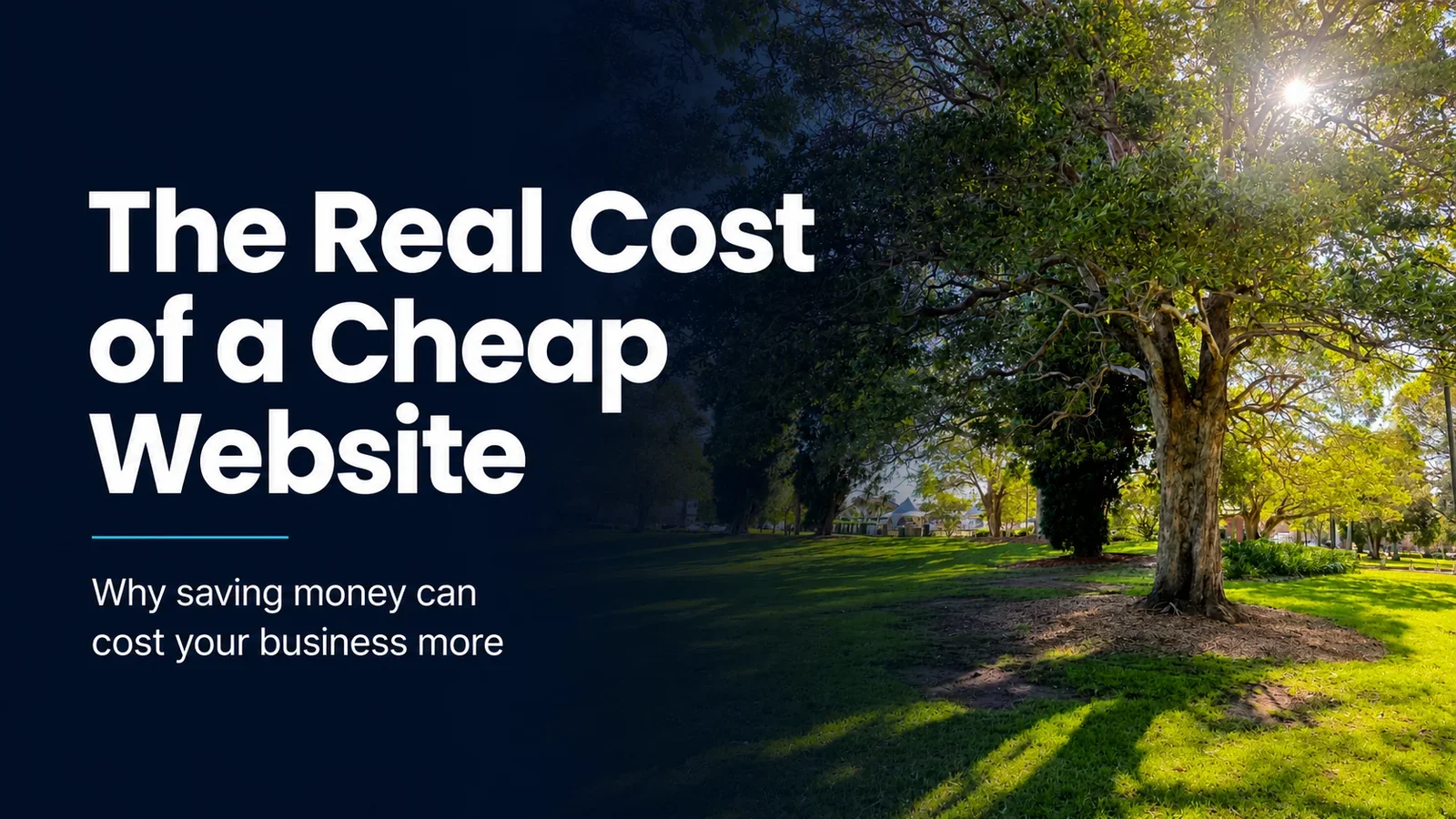 The Real Cost of a Cheap Website 